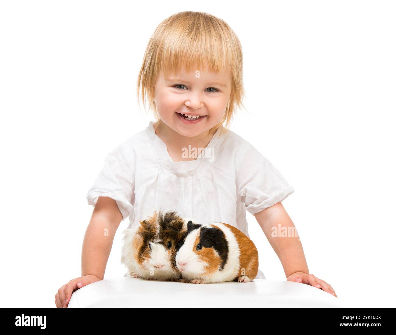 Petite petite fille mignonne avec des cobayes. Isolé sur fond blanc. Banque D'Images