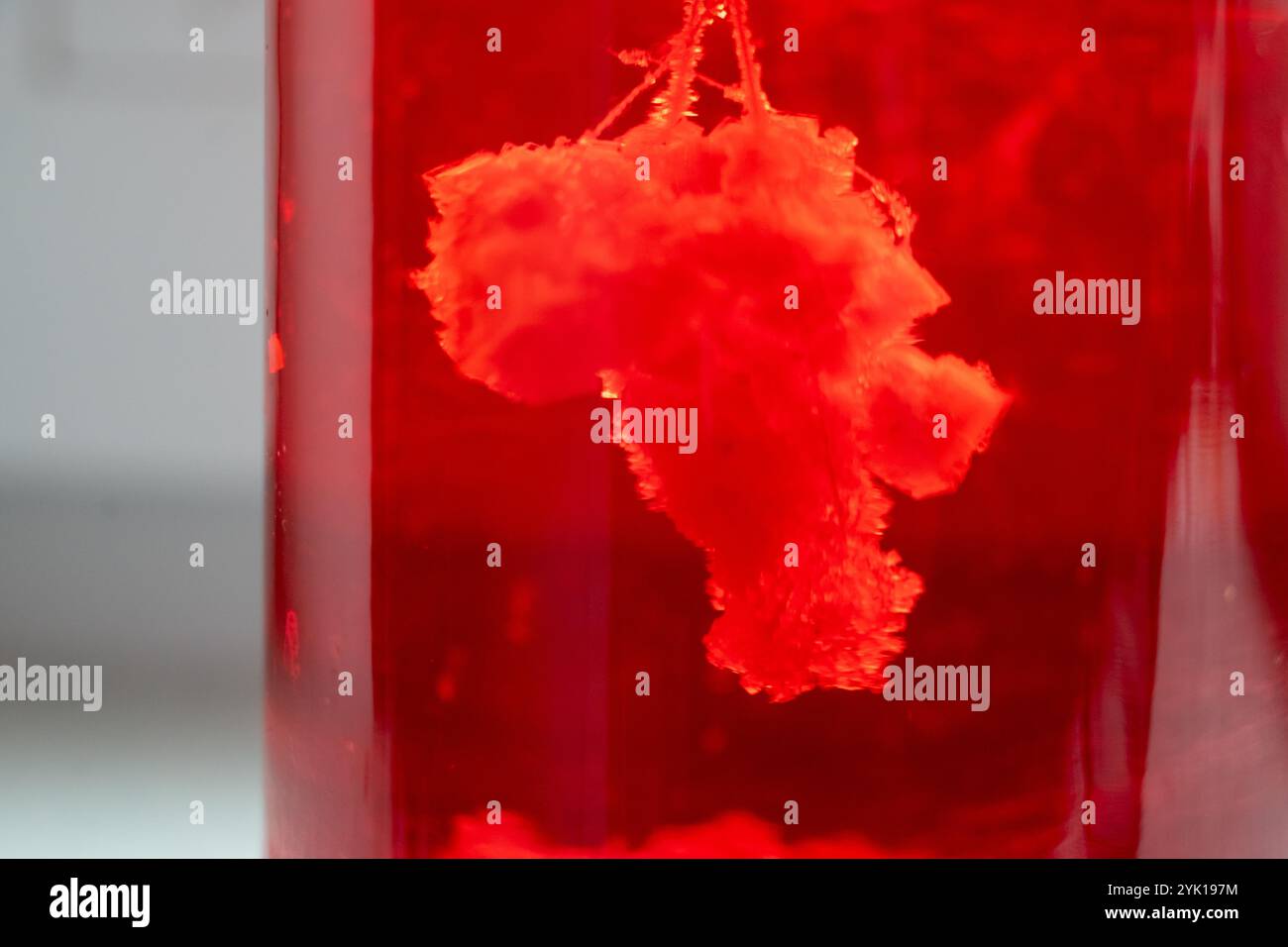 un devoir de cours de chimie à l'école - faire pousser des cristaux de sel ou de chlorure de sodium dans un bocal Banque D'Images