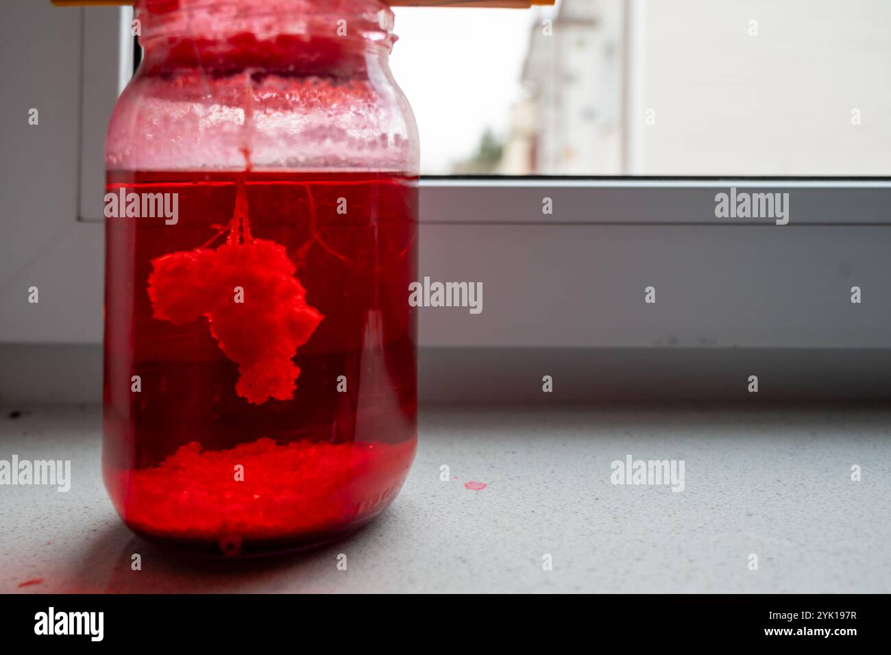 un devoir de cours de chimie à l'école - faire pousser des cristaux de sel ou de chlorure de sodium dans un bocal Banque D'Images