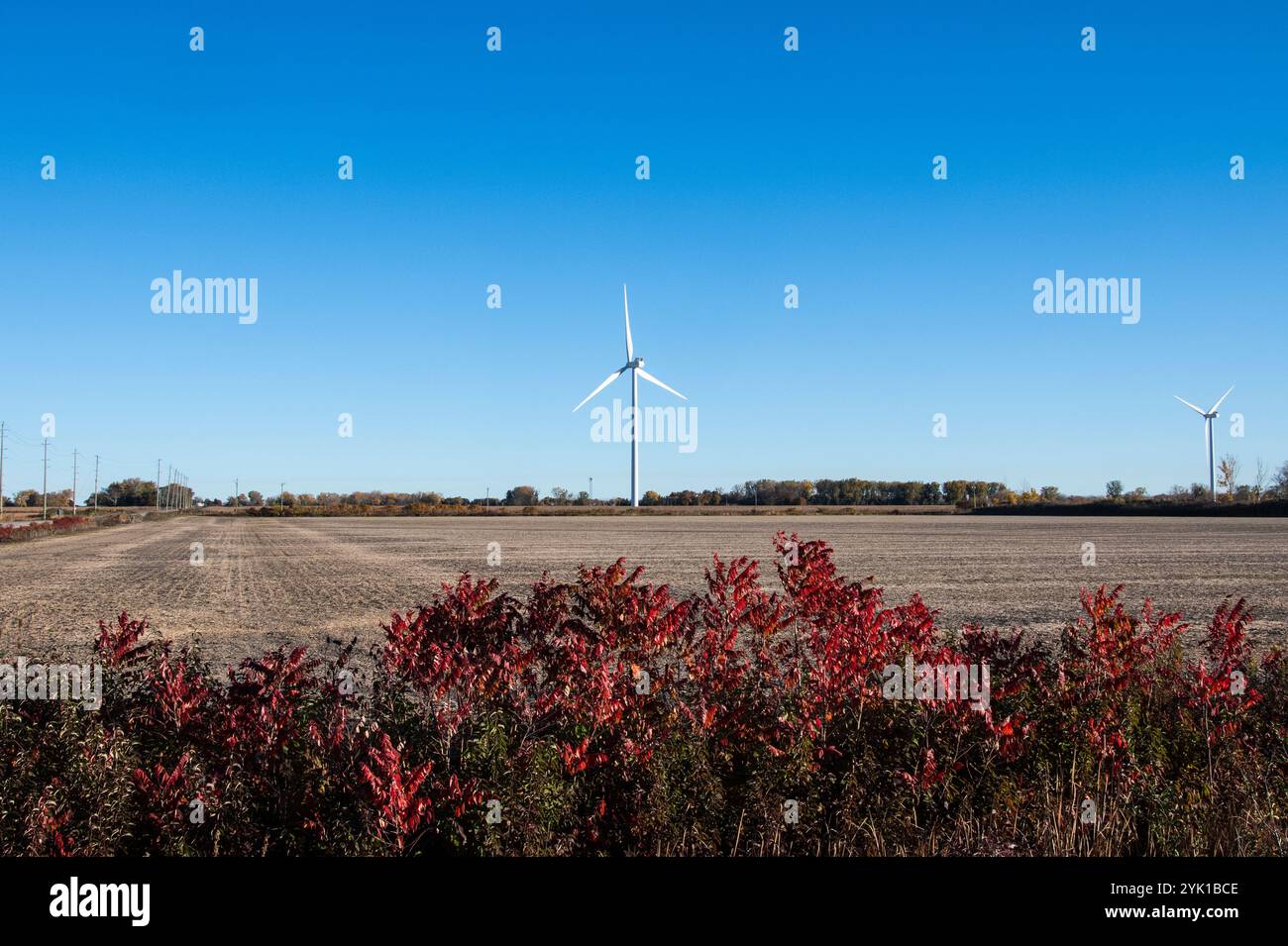 Terres agricoles et éoliennes à Tilbury, Ontario, Canada Banque D'Images