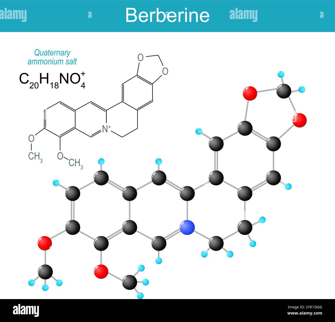 Molécule de berbérine. Formule structurale chimique moléculaire et modèle d'alcaloïde végétal pour traiter le syndrome métabolique, la réduction du cholestérol, poids m Illustration de Vecteur