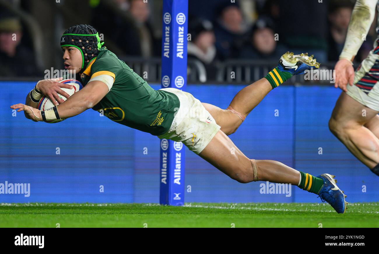 Londres, Royaume-Uni. 16 novembre 2024. Angleterre v Afrique du Sud - Autumn Nations Series - Twickenham. Cheslin Kolbe marque un essai de deuxième mi-temps pour l'Afrique du Sud. Crédit photo : Mark pain / Alamy Live News Banque D'Images