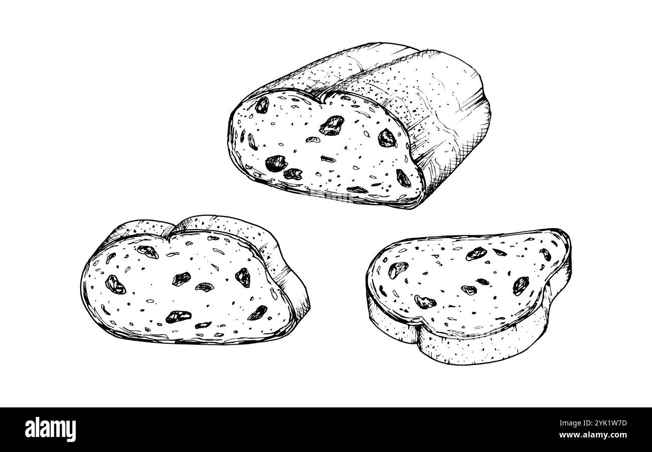 Ensemble d'illustrations vectorielles de pain aux raisins secs tranché avec texture détaillée pour la conception de boulangerie, livre de recettes, emballage alimentaire ou projets thématiques de petit déjeuner Illustration de Vecteur