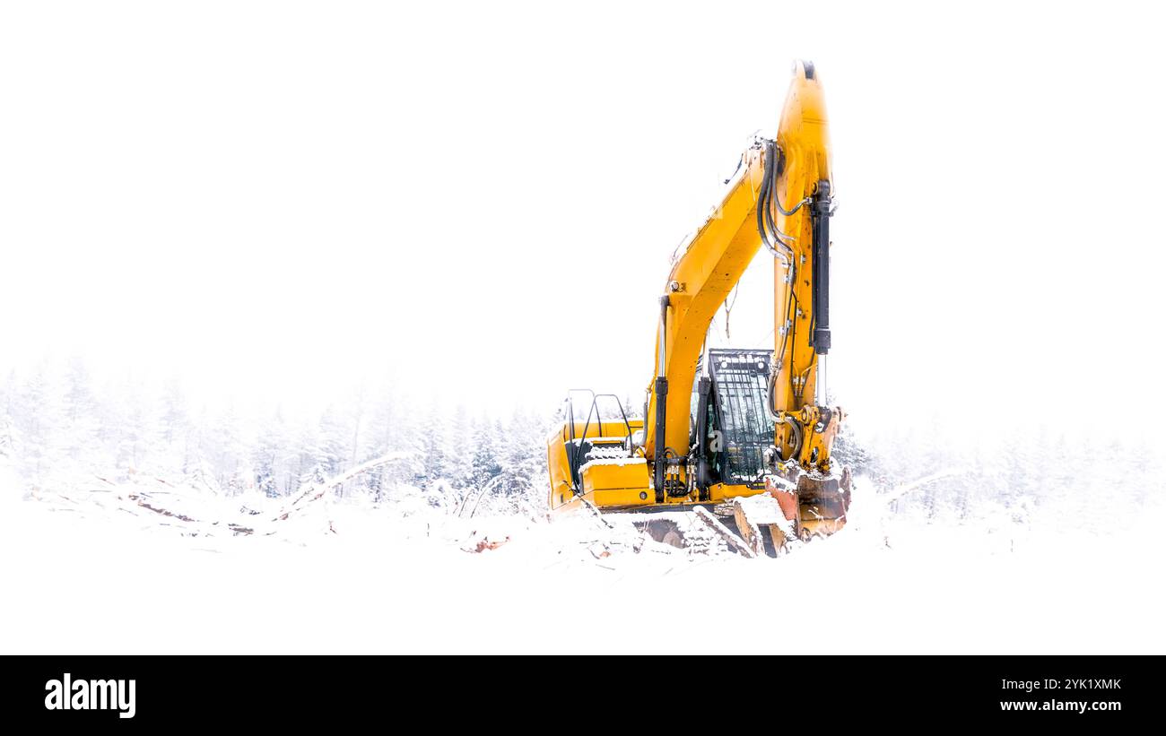 Une pelle hydraulique dans la neige. Déforestation Banque D'Images