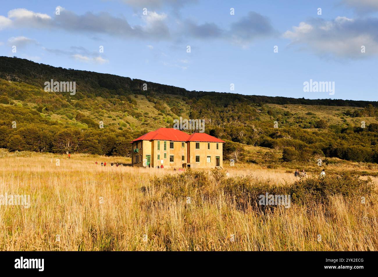 Baie de Wulaia, île Navarino, Terre de feu, Patagonie, Chili, Amérique du Sud Banque D'Images