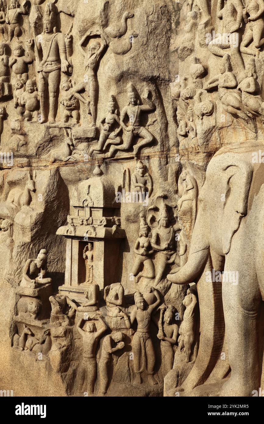 Inde, Tamil Nadu, Mamallapuram, Mahabalipuram, pénitence d'Arjuna Banque D'Images