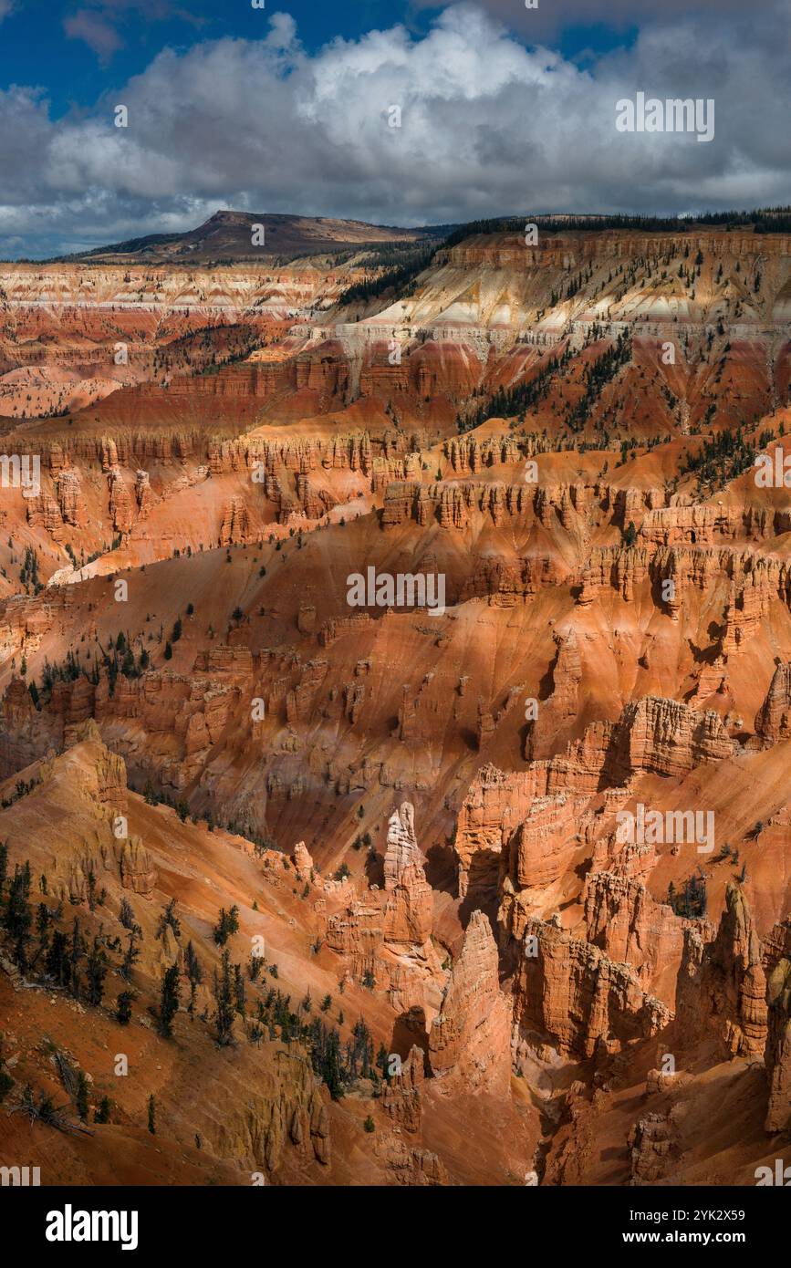 Amphitheatre, Hoodoo Formations, Cedar Breaks National Monument (Utah) Banque D'Images