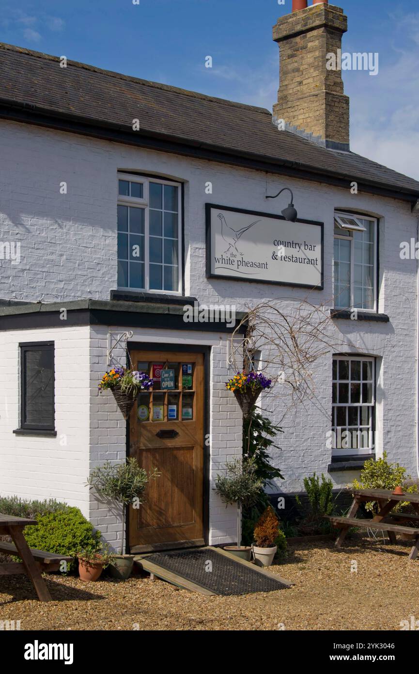 The White Pheasant, Forham, Cambridgeshire Banque D'Images