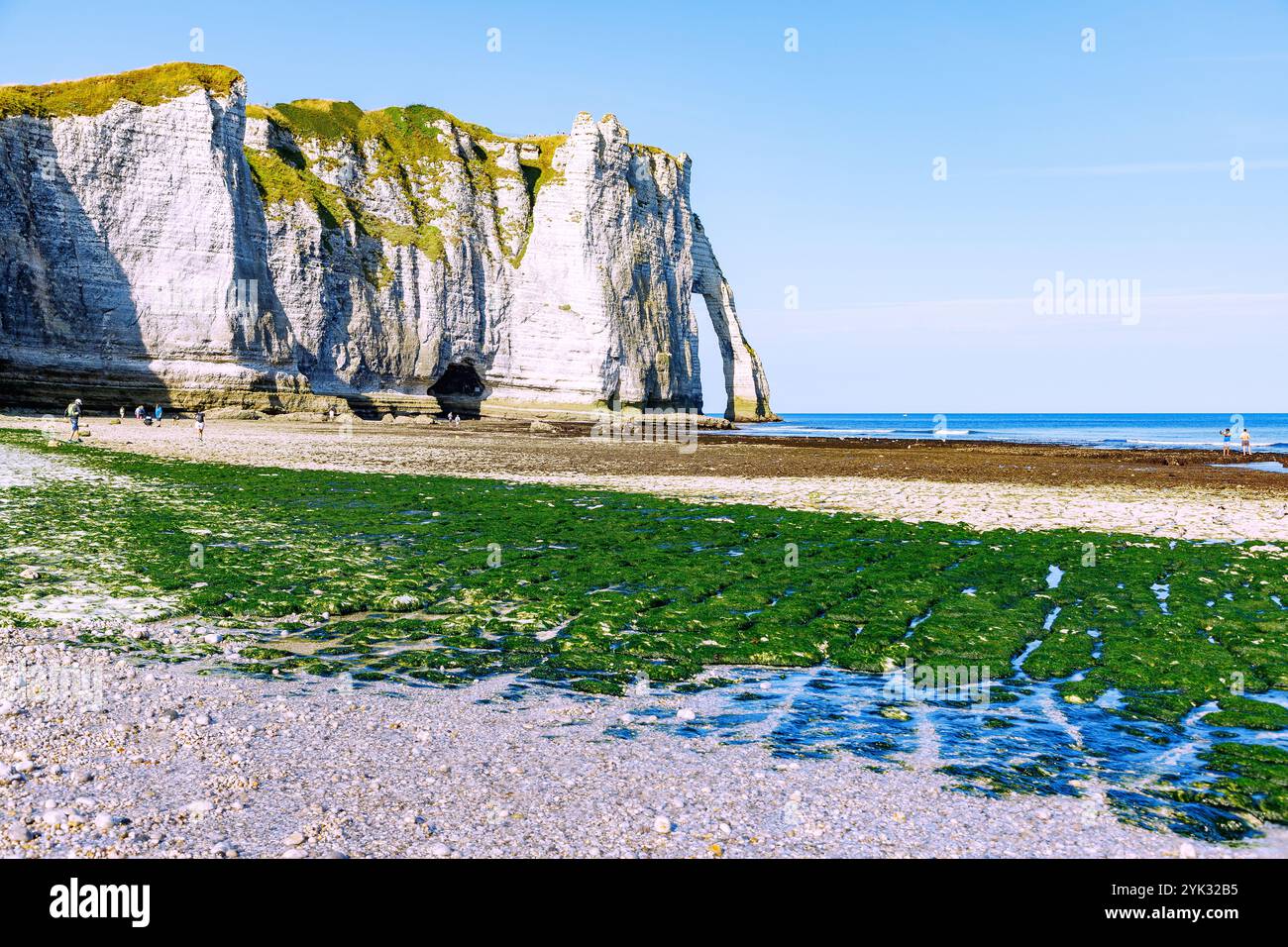 Porte rocheuse la porte d'aval à marée basse à Etretat (Étretat) sur la Côte d'Albâtre (Côte d'Albâtre, Cote d'Albatre) en Seine-maritime d Banque D'Images