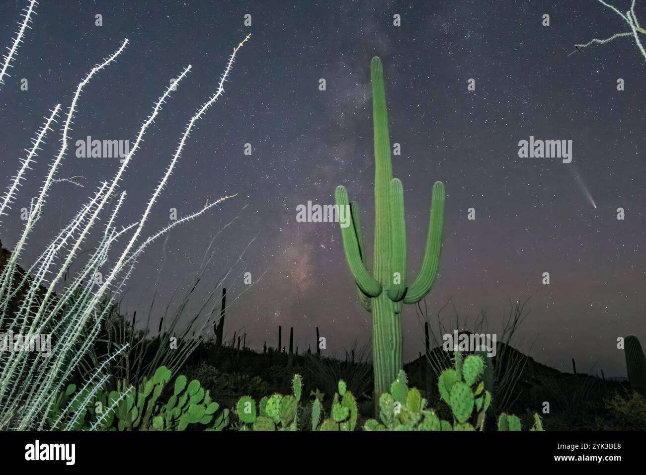 Comète C/2023 A3 (Tsuchinshan-ATLAS) Banque D'Images