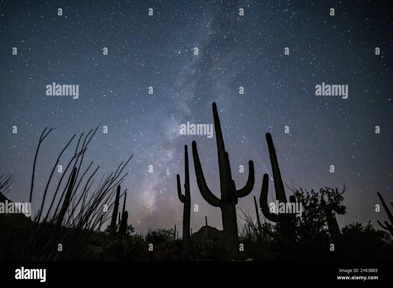 Comète C/2023 A3 (Tsuchinshan-ATLAS) Banque D'Images