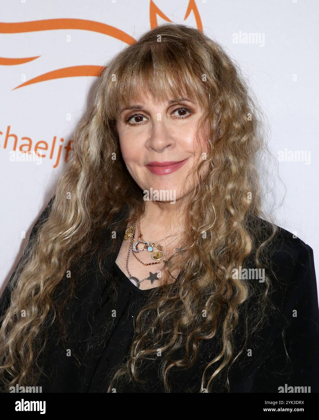 New York, États-Unis. 16 novembre 2024. Stevie Nicks participant au Gala 2024 'une chose drôle est arrivé sur le chemin de la guérison de Parkinson' au profit de la Fondation Michael J. Fox, qui s'est tenu à Cipriani South Street à Casa Cipriani le 16 novembre 2024 à New York City, NY © Steven Bergman/AFF-USA. Crédit COM : AFF/Alamy Live News Banque D'Images