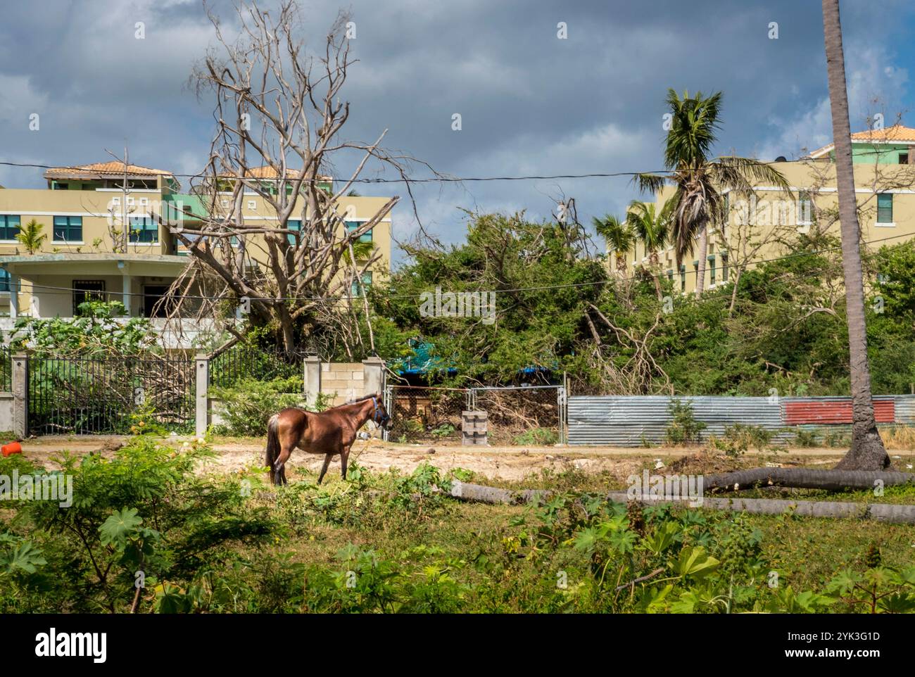 Comme la plupart des habitants de l'île, ceux qui vivent dans la ville côtière de Loiza, Porto Rico se retrouvent encore à nettoyer après les tempêtes. Non seulement l'ouragan Maria a endommagé la ville, mais il a détruit les barrières naturelles qui empêchent les eaux de monter et d'endommager continuellement les routes côtières. Ici, six mois après l'ouragan Maria, les habitants sont toujours privés d'électricité. Photo USDA de Preston Keres Banque D'Images