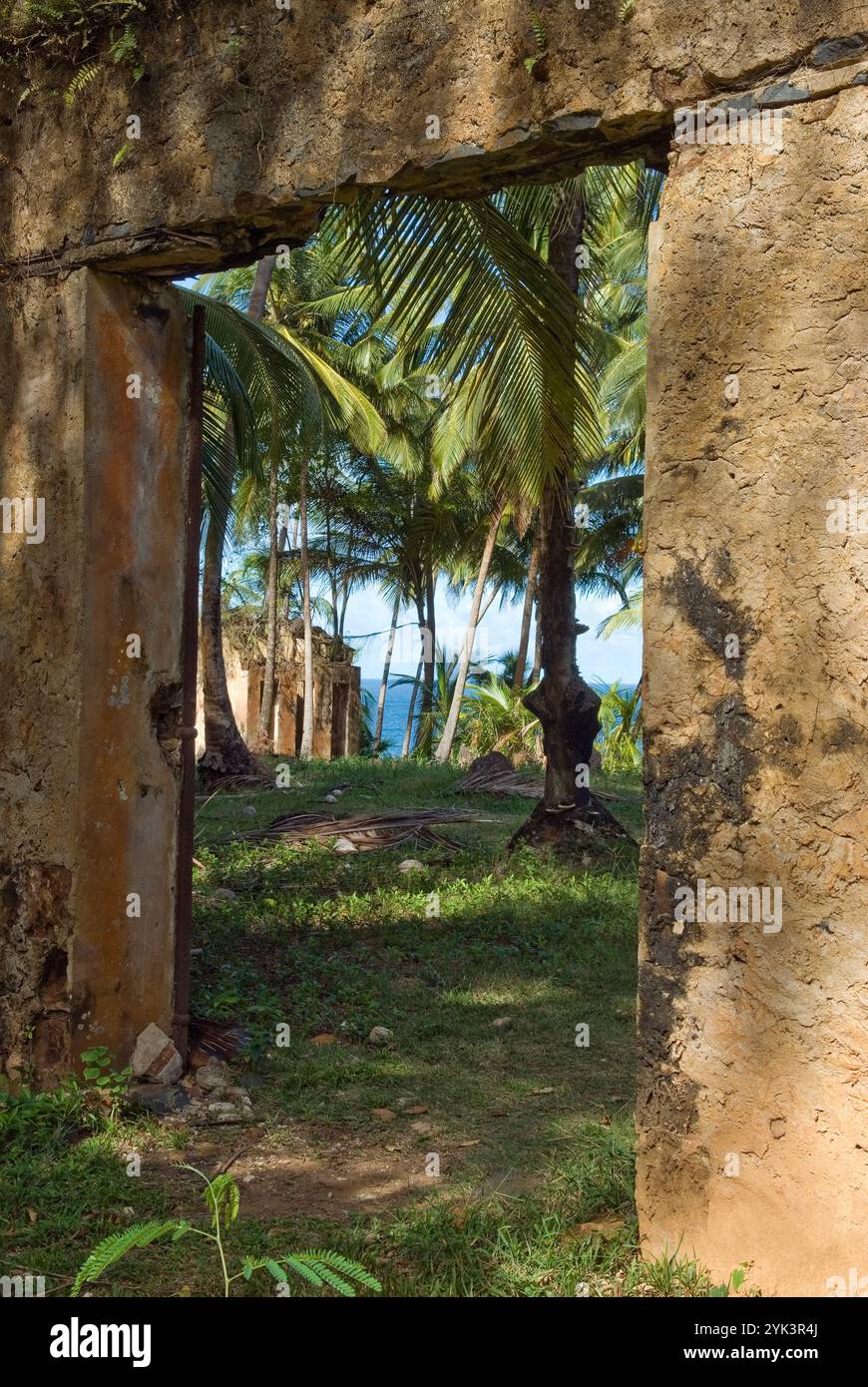 Cellules ruinées de colonie pénitentiaire sur l'Ile Saint-Joseph, Iles du Salut, Guyane française, département d'outre-mer et région de France, Atlantique Banque D'Images