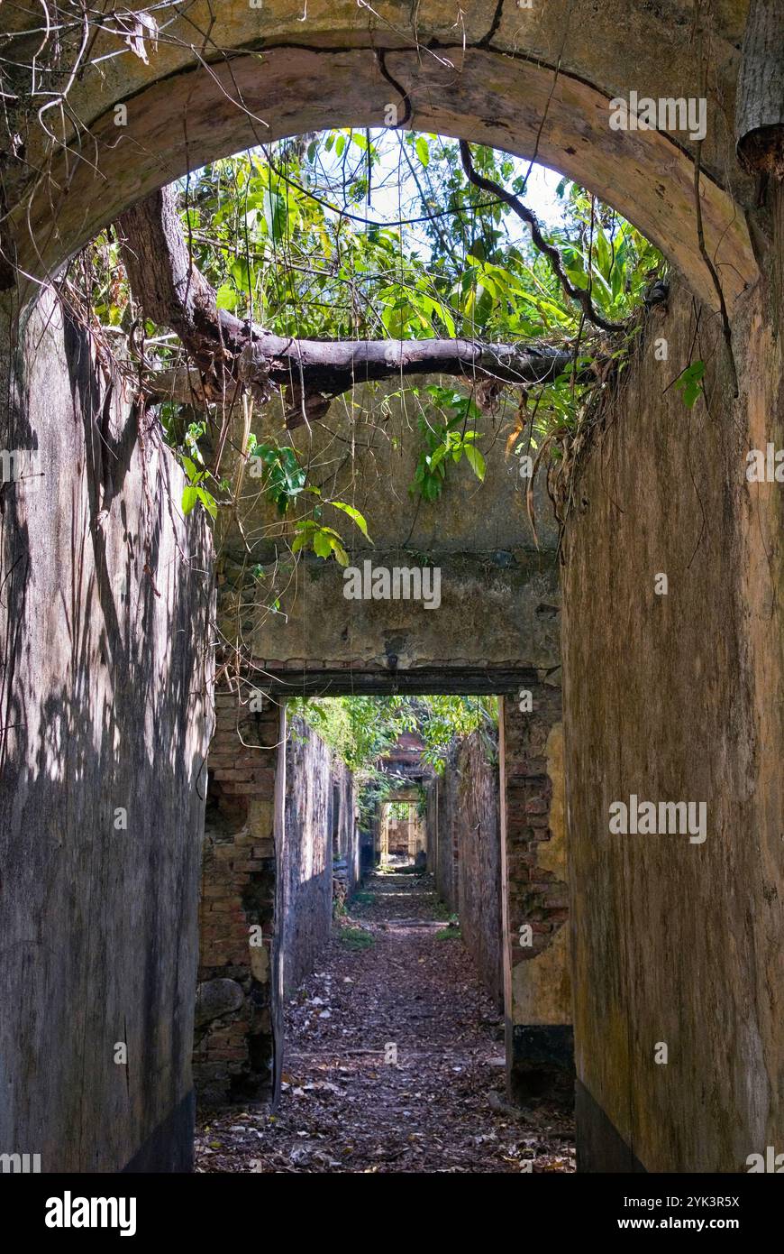 Cellules ruinées de colonie pénitentiaire sur l'Ile Saint-Joseph, Iles du Salut, Guyane française, département d'outre-mer et région de France, Atlantique Banque D'Images
