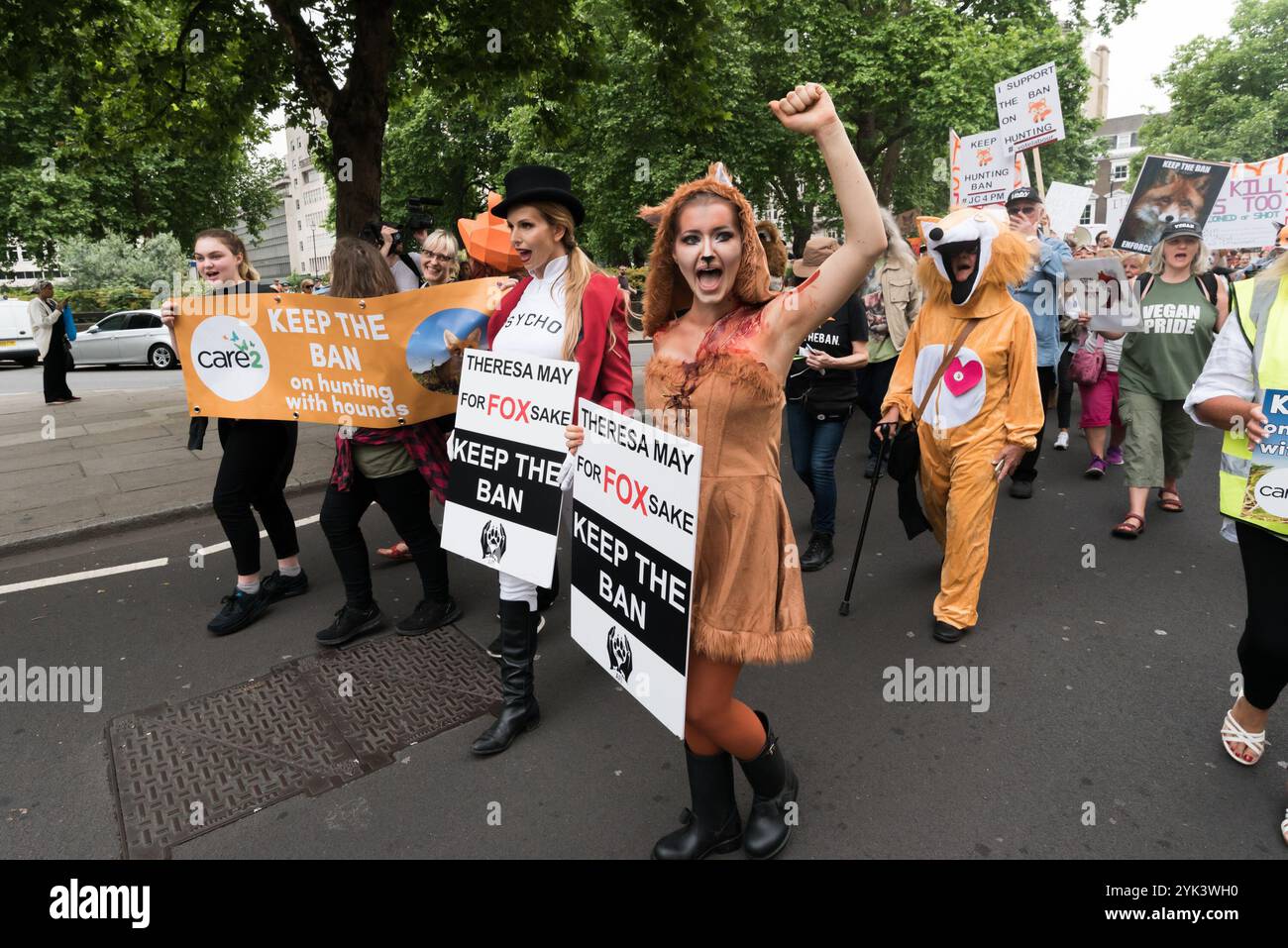 Londres, Royaume-Uni. 29 mai 2017. La marche de plusieurs milliers de personnes à travers Londres d'un rassemblement à Cavendish Square à un autre à Downing St commence. Ils disent à Theresa May que le public est contre la tenue d'un vote au Parlement sur le projet de loi sur la chasse au renard. Les sondages montrent que plus de 80 % de la population des villes et des zones rurales est opposée à la levée de l'interdiction et beaucoup seraient favorables à des mesures plus strictes et à une application correcte de l'interdiction de 2004. Parmi ceux qui ont parlé et marché se trouvait le professeur Andrew King du Parti du bien-être animal qui se dresse contre Theresa May à Maidenhead. Banque D'Images