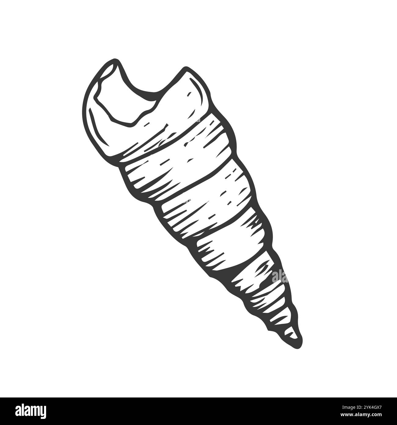 Terebra Dislocata icône Silhouette illustration. Seashell vecteur graphique pictogramme symbole Clip Art. Doodle Sketch Black Sign. Illustration de Vecteur