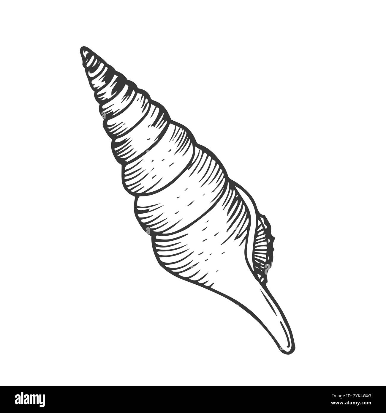 Terebra Dislocata icône Silhouette illustration. Seashell vecteur graphique pictogramme symbole Clip Art. Doodle Sketch Black Sign. Illustration de Vecteur