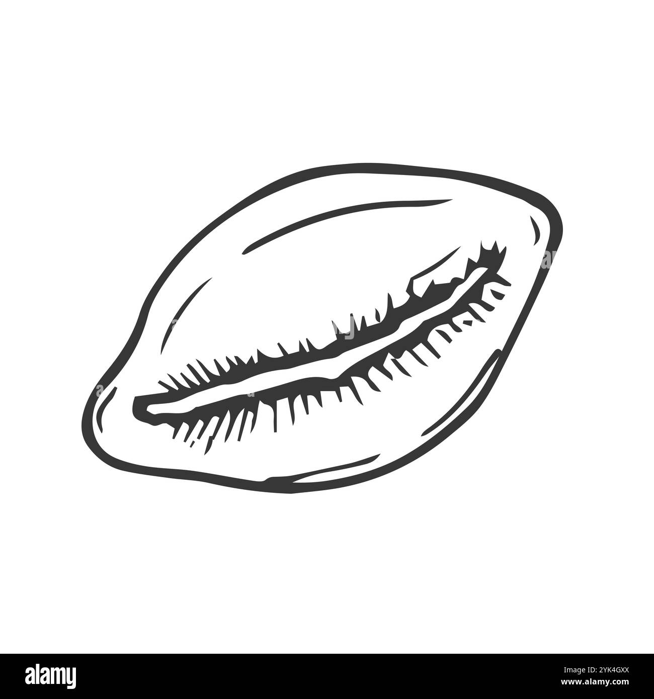 Motif tigre cowrie coquille de mer. Dessin de vecteur de style d'esquisse dessiné à la main de coquille de mollusque sous-marin de récif tropique. Isolé sur fond blanc. Rétro desi Illustration de Vecteur