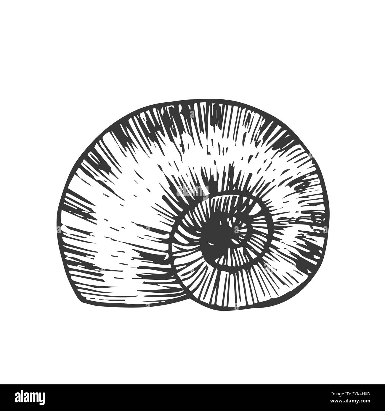 Vecteur d'icône de ligne de coquille d'escargot de raisin isolé Illustration de Vecteur