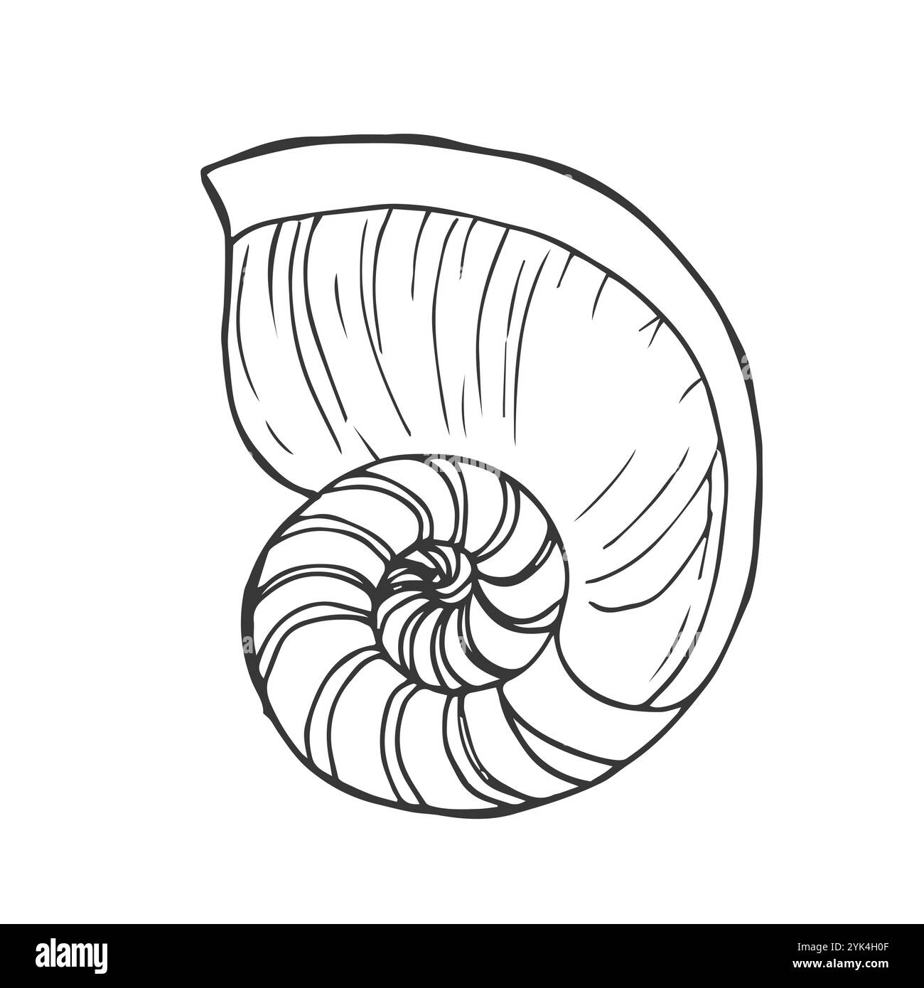 Icône de vecteur de coque Nautilus. Coquillage en spirale aquatique avec des taches, des rayures. Mollusque océanique céphalopode, créature sous-marine. Doodle dessiné à la main, sketc de mer Illustration de Vecteur