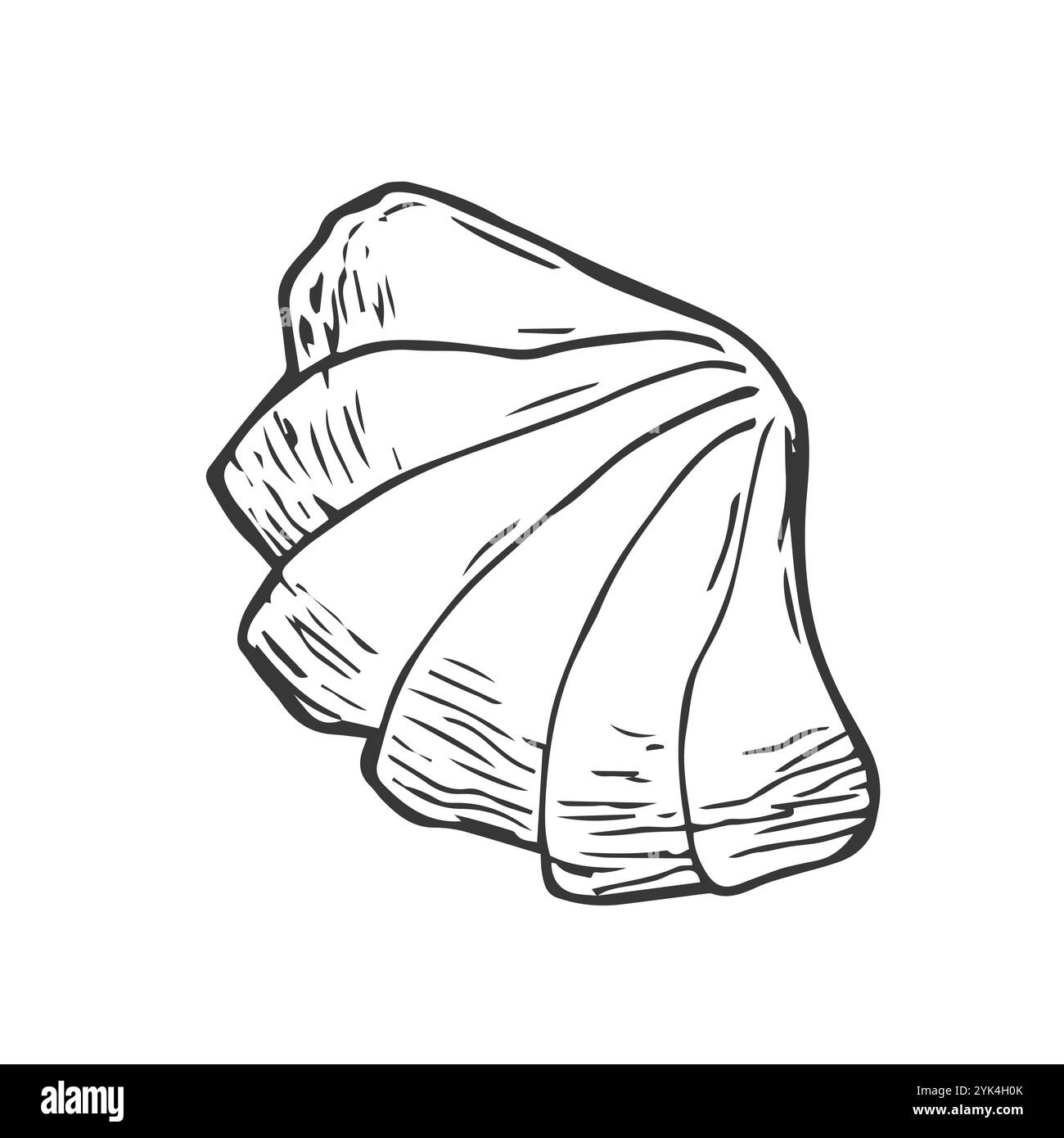 Illustration de doodle de coquille de mer. Collection vectorielle de diverses coquilles marines dans le contour dessiné à la main. Illustration de Vecteur