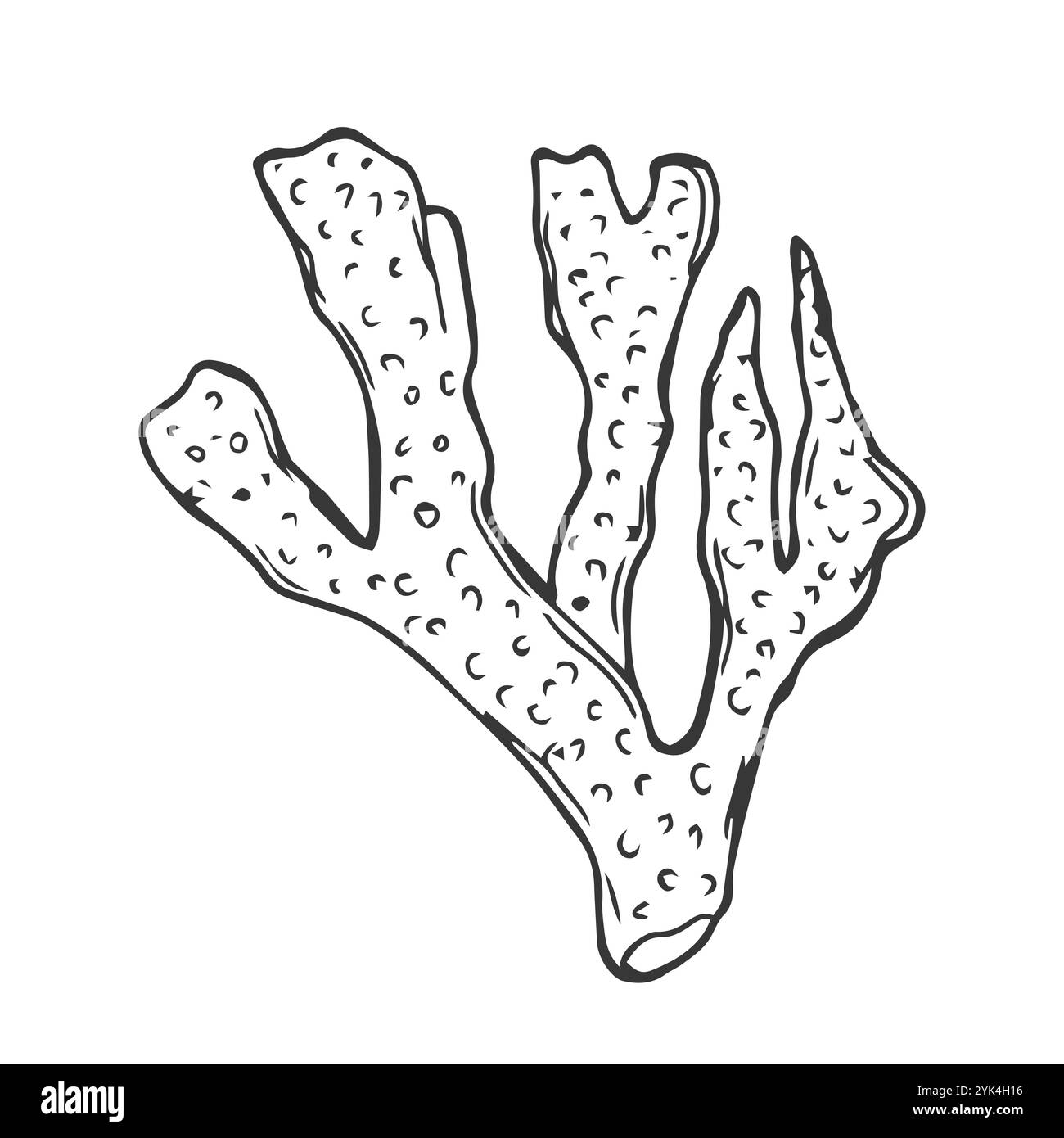 Matrice corallienne à contour simple isolée par vecteur. Ligne noire incolore contour de branche de corail doodle Illustration de Vecteur