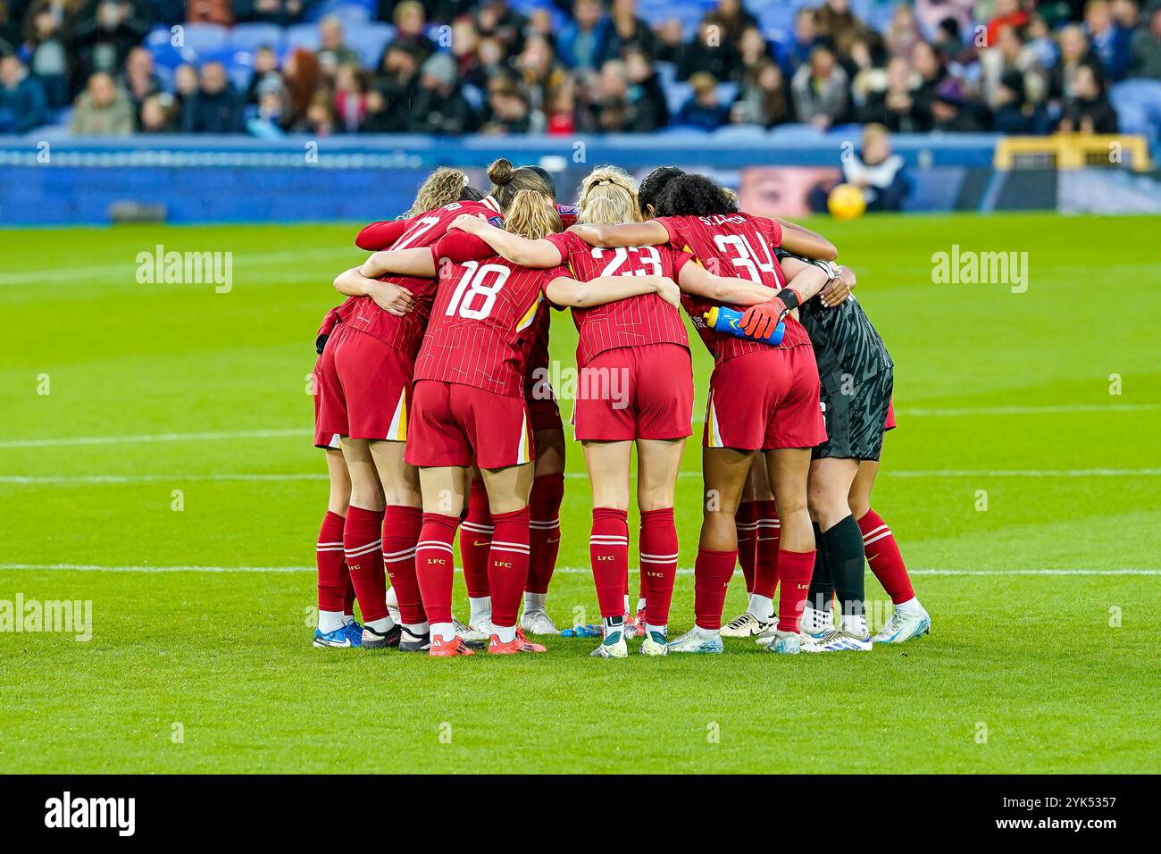 Goodison Park, Liverpool, Royaume-Uni. Dimanche 17 novembre 2024, Barclays Women’s Super League : Everton FC Women vs Liverpool FC Women au Goodison Park. Caucus de l'équipe de Liverpool. Crédit James Giblin/Alamy Live News. Banque D'Images