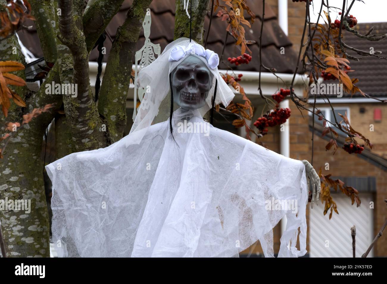 Fantôme blanc d'Halloween suspendu dans l'arbre Banque D'Images