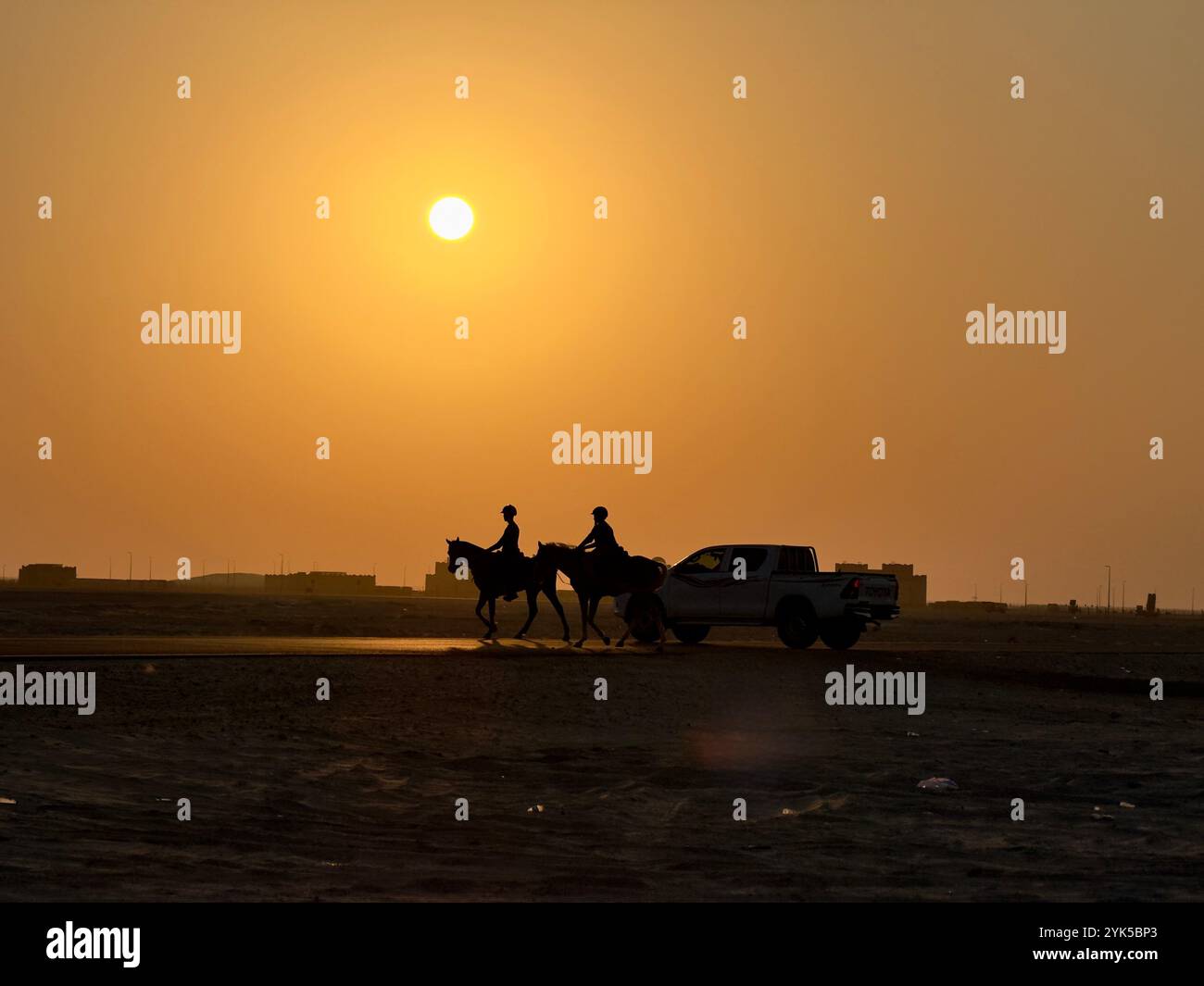 Coucher du soleil , équitation , chevaux arabes dans le désert , l'un des meilleurs chevaux pour l'endurance, la compétition ou tout simplement comme un animal de compagnie amical , moyen-Orient - Image de stock capturée avec un smartphone
