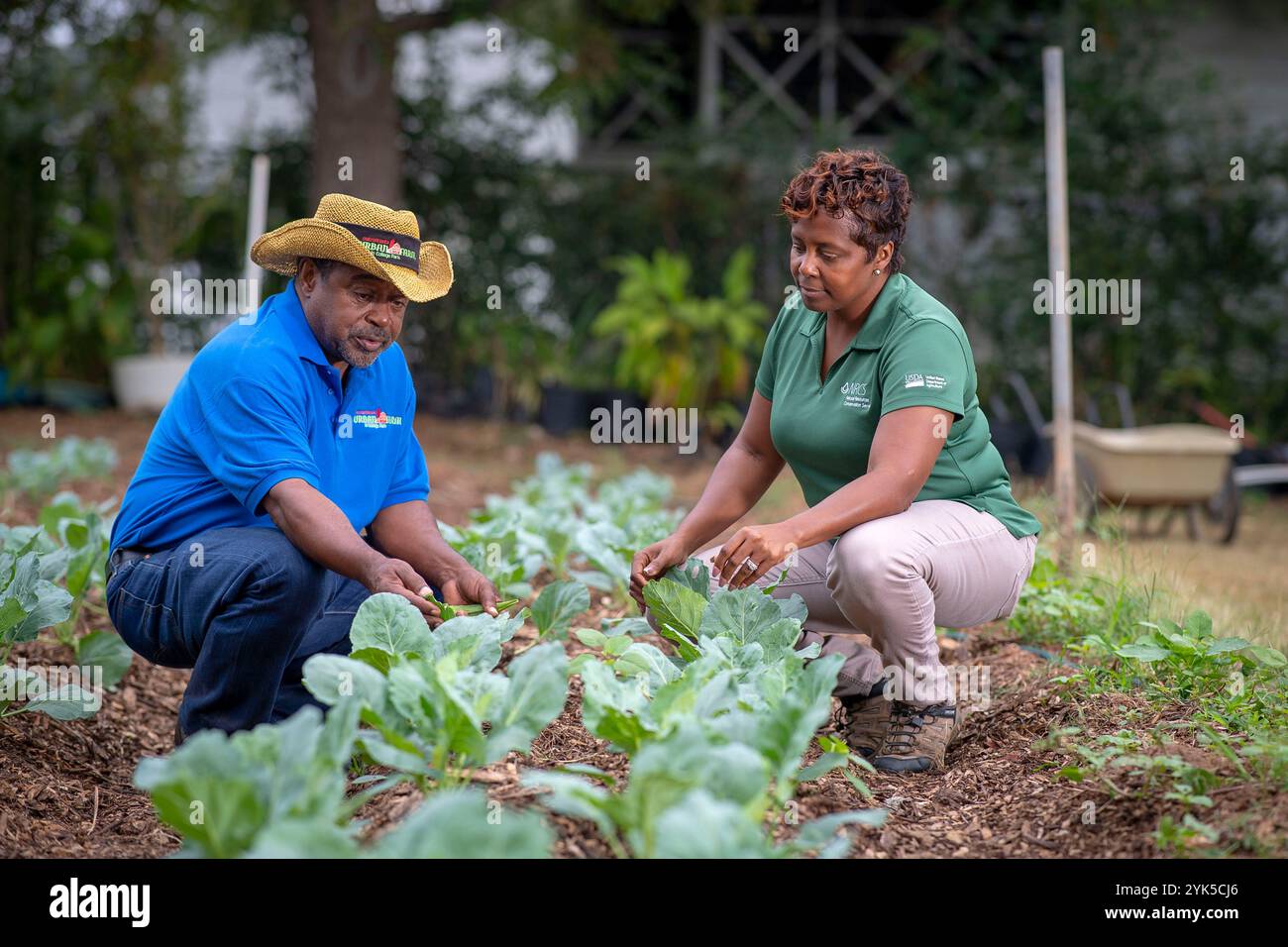 Le Service de conversation sur les ressources naturelles (NRCS) du Département de l'Agriculture des États-Unis (USDA) Shemekia Mosley travaille avec Bobby Wilson, PDG de Metro Atlanta Urban Farm (MAUF), a créé Metro Atlanta Urban Farming (MAUF) en 2009 pour répondre aux besoins croissants de nourriture abordable dans les communautés à faible revenu. Son terrain de cinq acres dans le Hear of College Park, Géorgie est à quelques minutes du centre-ville d'Atlanta. Avec l'aide du Service de conversation sur les ressources naturelles (NRCS) du Département de l'Agriculture des États-Unis (USDA) et de la Farm Service Agency (FSA), MAUF a pu répondre aux préoccupations de ressources de Banque D'Images