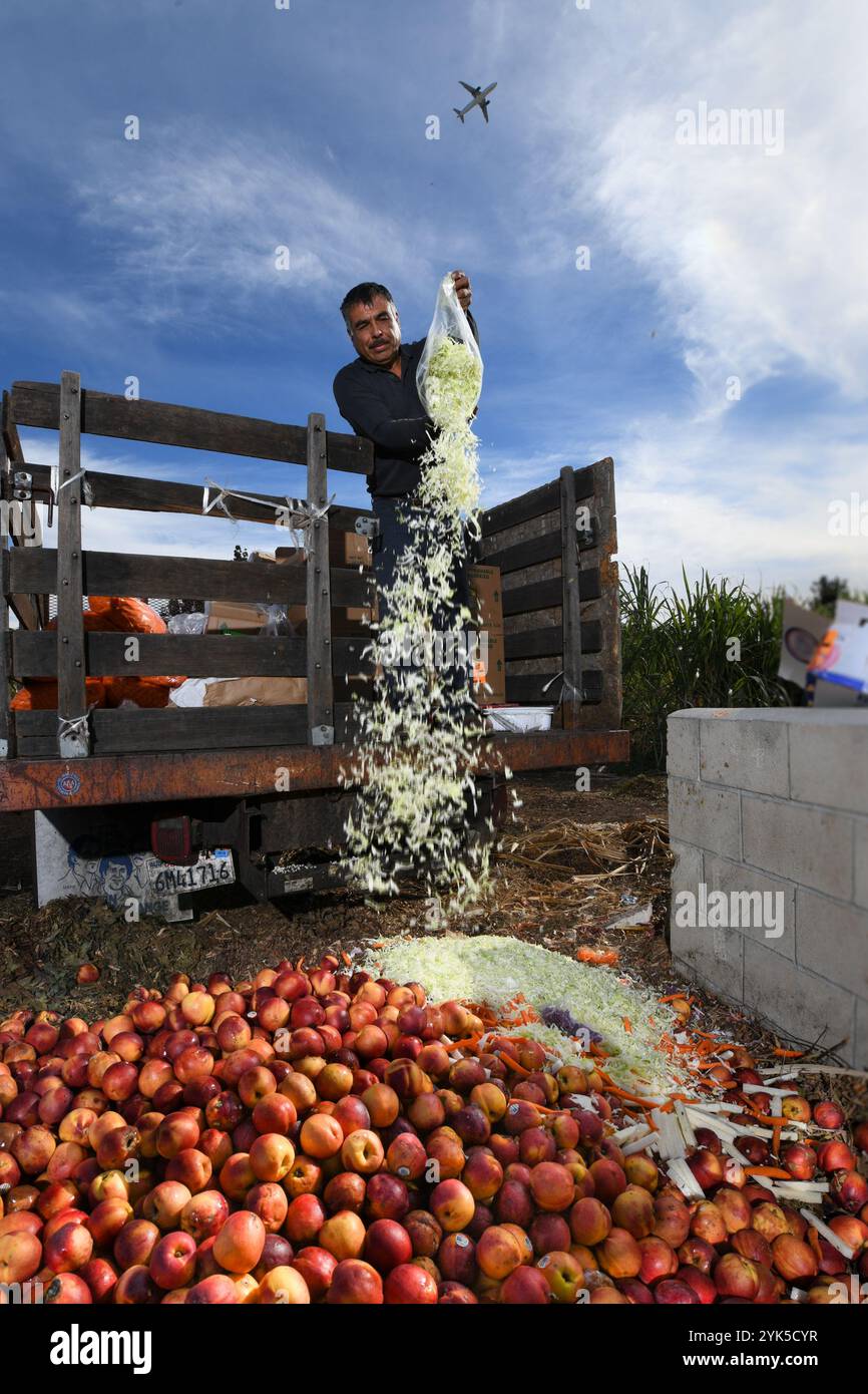 Huerta del Valle (HDV) fournit un service aux entreprises locales lorsque Nicolas Reza, employé de HDV, ramasse des déchets organiques tels que la nectarine et le chou coupé auprès d’un distributeur de nourriture pour la zone de compost du jardin et de la ferme soutenu par la communauté biologique de 4 hectares au milieu d’une communauté urbaine à faible revenu, où Tomas Aguilar-Campos, écologiste du district de Redlands du Département de l'Agriculture des États-Unis (USDA), travaille en étroite collaboration avec Maria Alonso, cofondatrice et directrice générale, alors qu'elle continue d'améliorer l'exploitation agricole en Ontario, en Californie, le 13 novembre 2018. Banque D'Images