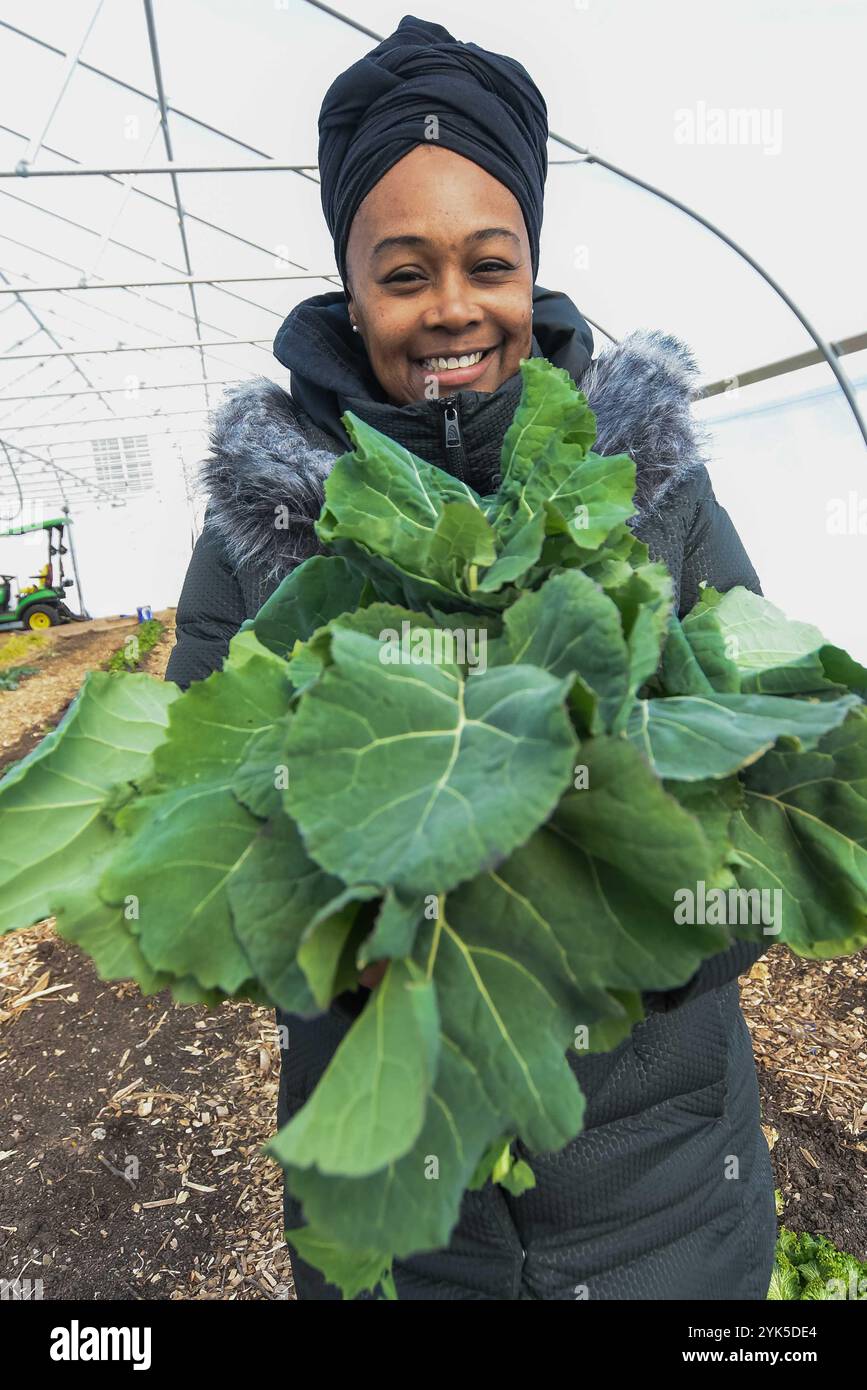 Sharrona Moore, la Found of Lawrence Community Gardens, récolte des verts de colard dans le tunnel supérieur du jardin le 2 février 2021. Le tunnel supérieur a été financé en partie par le biais du Programme d'encouragement à la qualité de l'environnement (PIQE) des services de conservation des ressources naturelles, auquel Moore a souscrit en 2018. Le financement du PIQE servira également à planter une haie dans le jardin situé à Lawrence, en Indiana. (Photo NRCS de l'Indiana par Brandon O'Connor) Banque D'Images