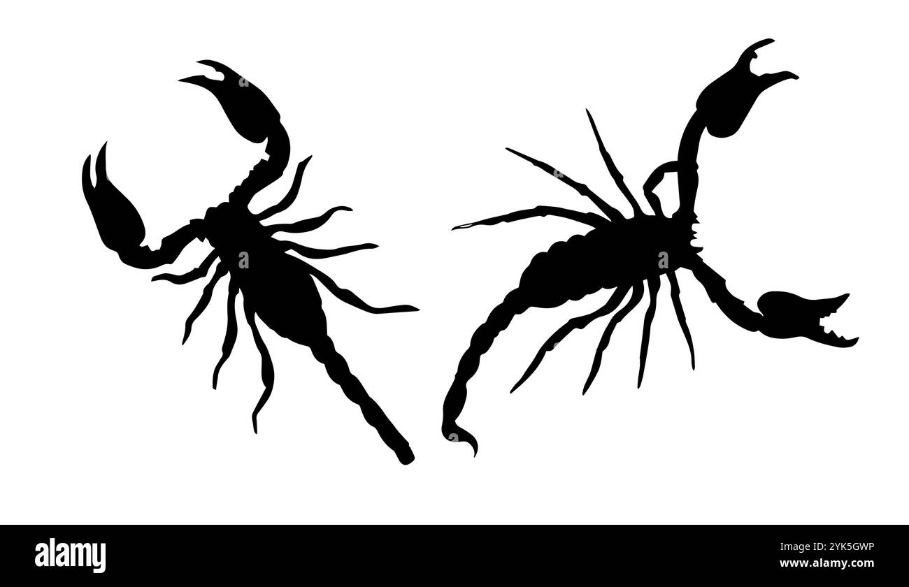 Signe du zodiaque d'insecte Scorpion, Silhouette d'Un Scorpion, tatouage Scorpion. Dessin à la main. Pas ai, illustration vectorielle. Illustration de Vecteur