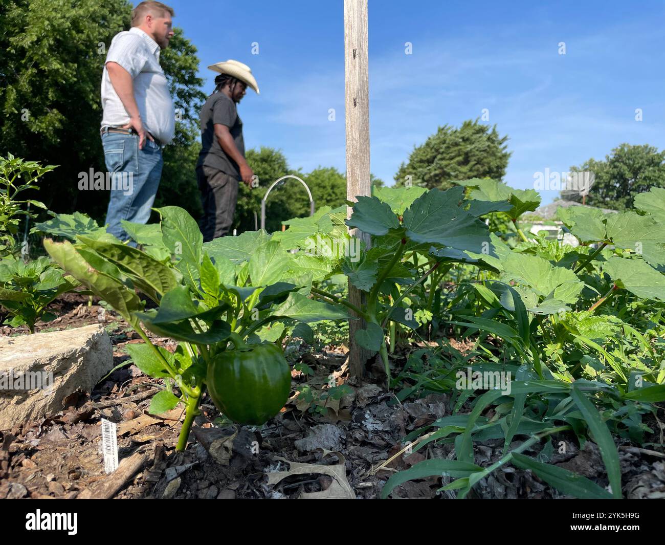 COY Poitier, directeur exécutif du Conservatoire des Arts et des Sciences de la FAWC, gère une ferme urbaine d'un acre qui sert de centre éducatif près de Dallas. COY travaille en étroite collaboration avec Stefen Tucker, directeur exécutif du comté urbain, avec l'Agence des services agricoles de l'USDA pour en apprendre davantage sur les avantages et les possibilités offertes par le ministère. COY est actuellement membre du comité du comté urbain de la FSA à Dallas. 6/7/2023 USDA photo par Joshua Coleman Banque D'Images