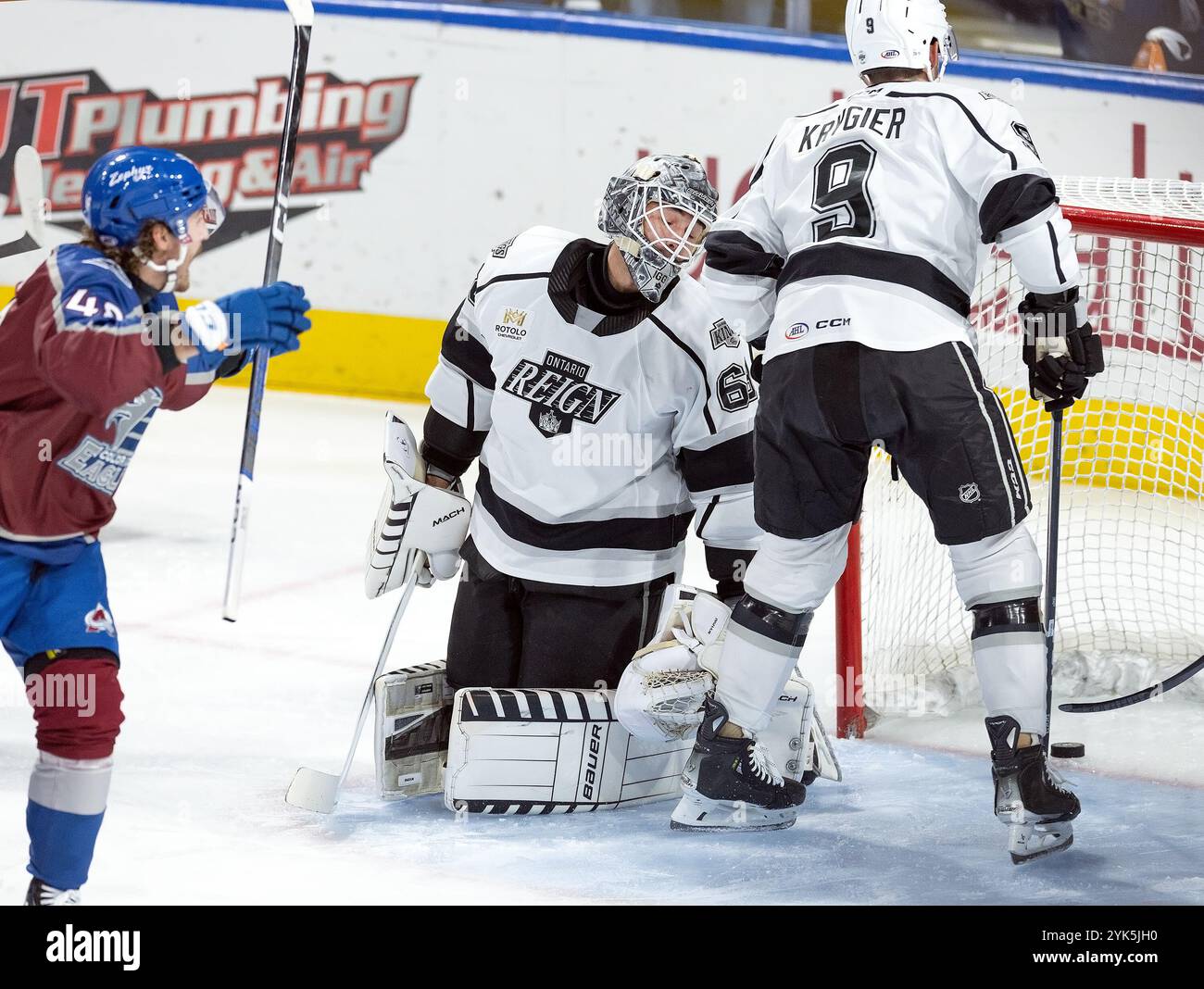 Loveland, Colorado, États-Unis. 16 novembre 2024. Reign G JACOB INGHAM est marqué pour le 1er. De 6 buts à Blue Arena samedi soir. Les Eagles battent le règne 6-4. (Crédit image : © Hector Acevedo/ZUMA Press Wire) USAGE ÉDITORIAL SEULEMENT! Non destiné à UN USAGE commercial ! Banque D'Images