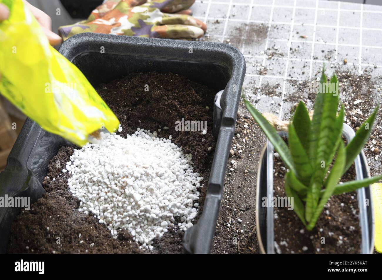 Ingrédients pour le sol des plantes en pot maison, tourbe, terre, sable, perlite, vermiculite, noix de coco. Un mélange pour planter des plantes dans un glo de fleuriste en pot Banque D'Images