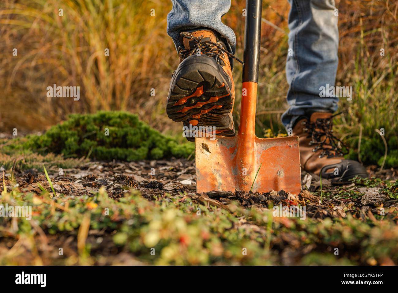 Un jardinier utilise une pelle pour creuser dans le sol riche, entouré de verdure luxuriante et de couleurs d'automne par un après-midi ensoleillé. Banque D'Images