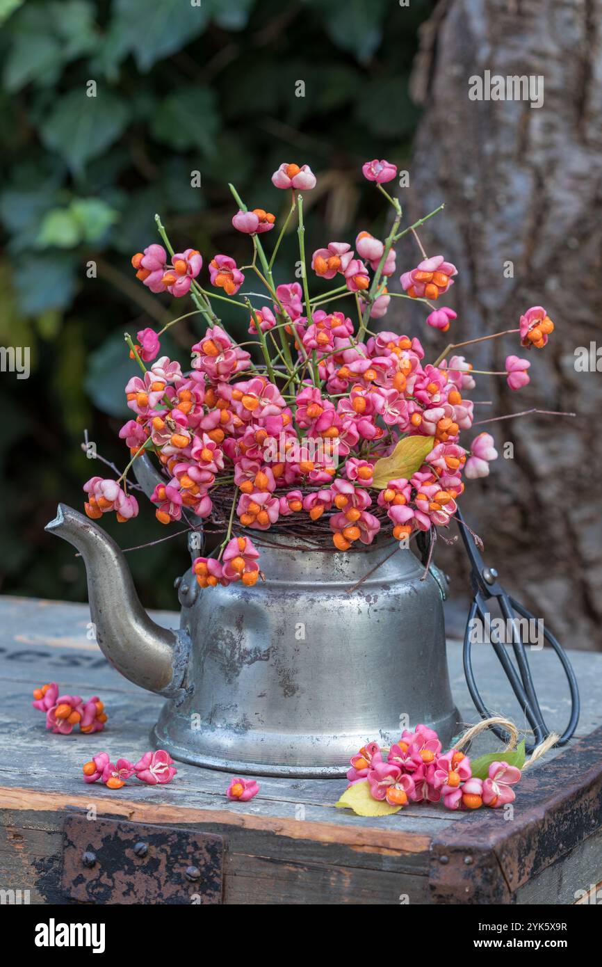 bouquet de branches d'arbre de fuseau commun dans une vieille bouilloire à thé Banque D'Images