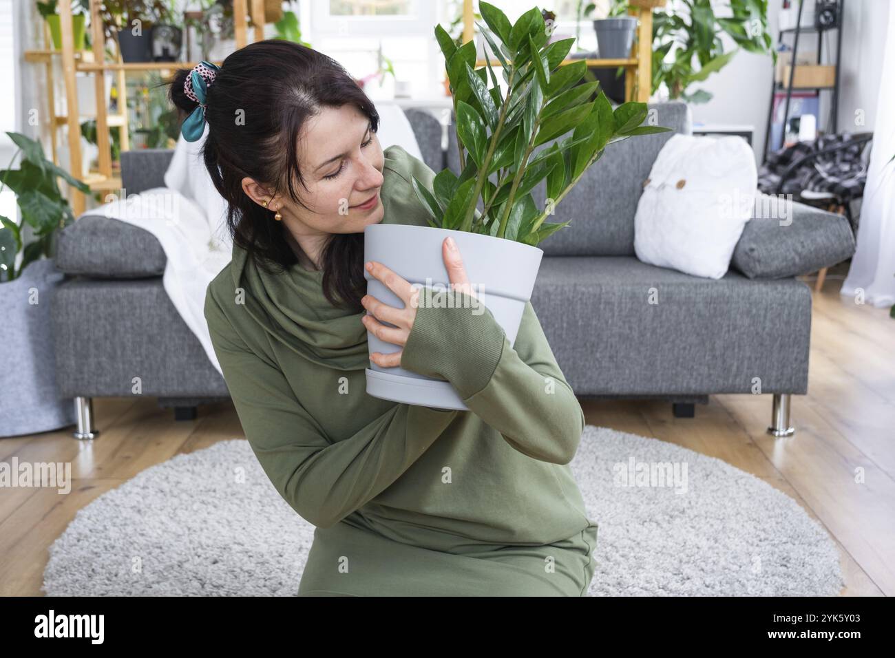 Zamioculcas sans prétention et populaire entre les mains d'une femme à l'intérieur d'une maison verte avec des collections de rayonnages de plantes domestiques. Récolte initiale Banque D'Images