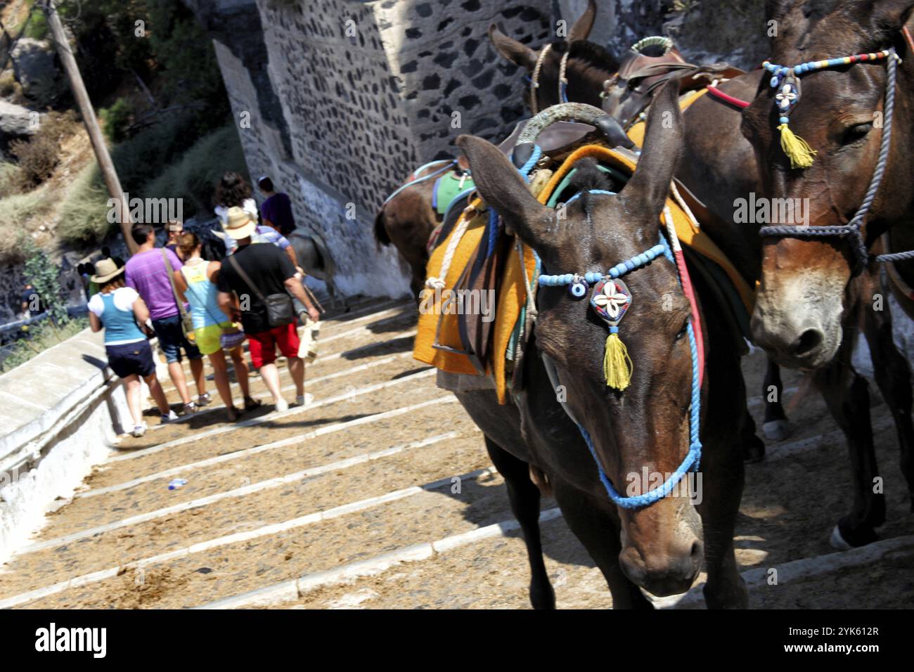 Mules d'ascenseur, Santorin, îles Cyclades, mer d'Egeo, mer Méditerranée, Grèce, Europe Banque D'Images