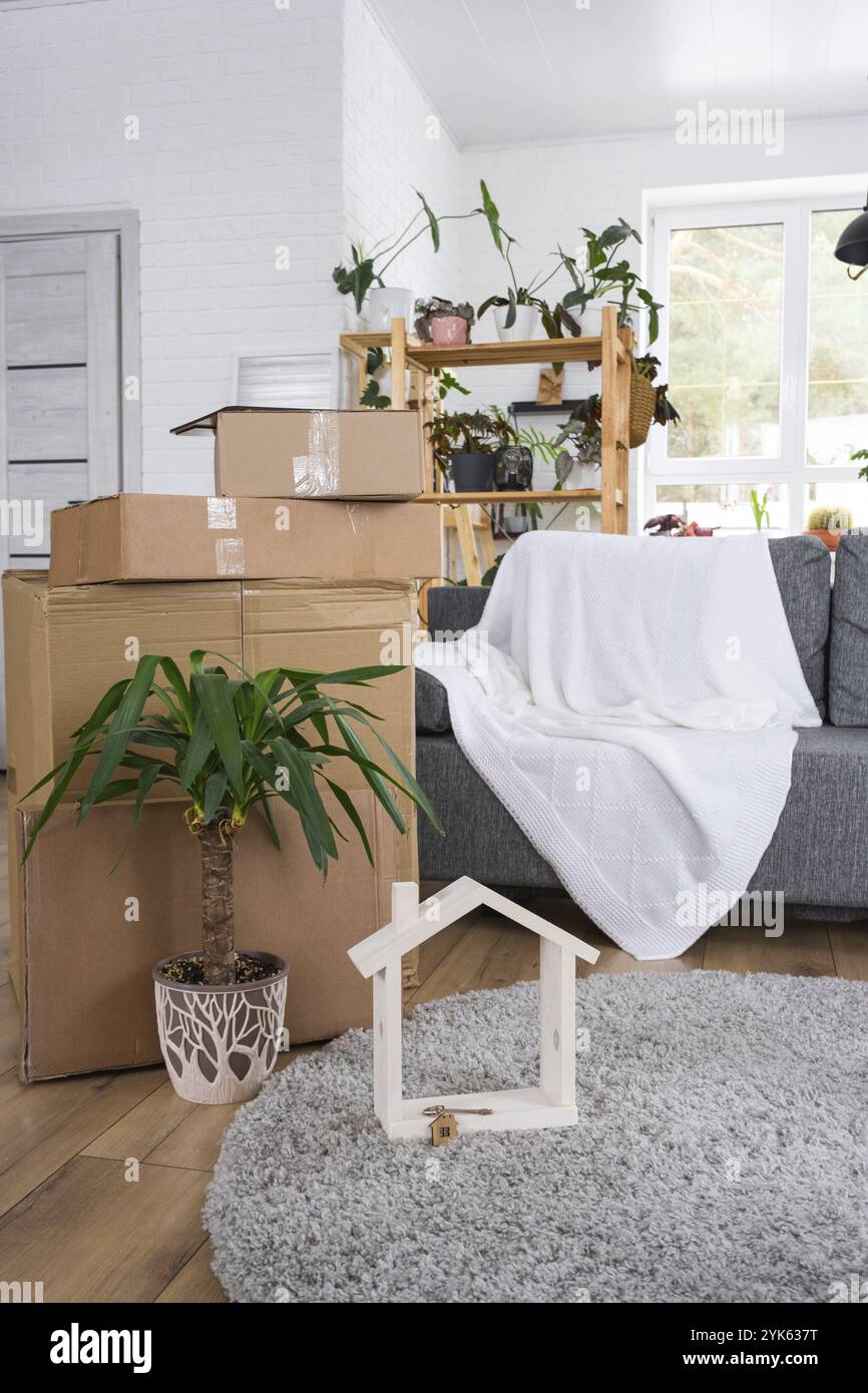 Des boîtes avec des choses à déplacer et des plantes d'intérieur sont dans la pièce de la nouvelle maison. Penderie, propriété familiale, transport de marchandises et livraison de Th Banque D'Images