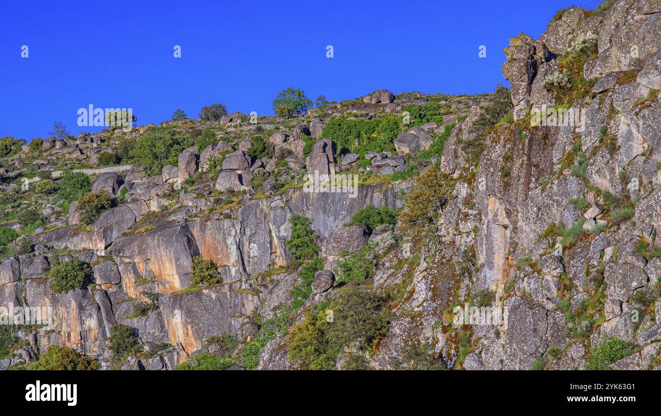 Paysage méditerranéen de marmottes forestières, Parc naturel d'Arribes del Duero, SPA, sac, réserve de biosphère, Salamanque, Castilla y Leon, Espagne, Europe Banque D'Images