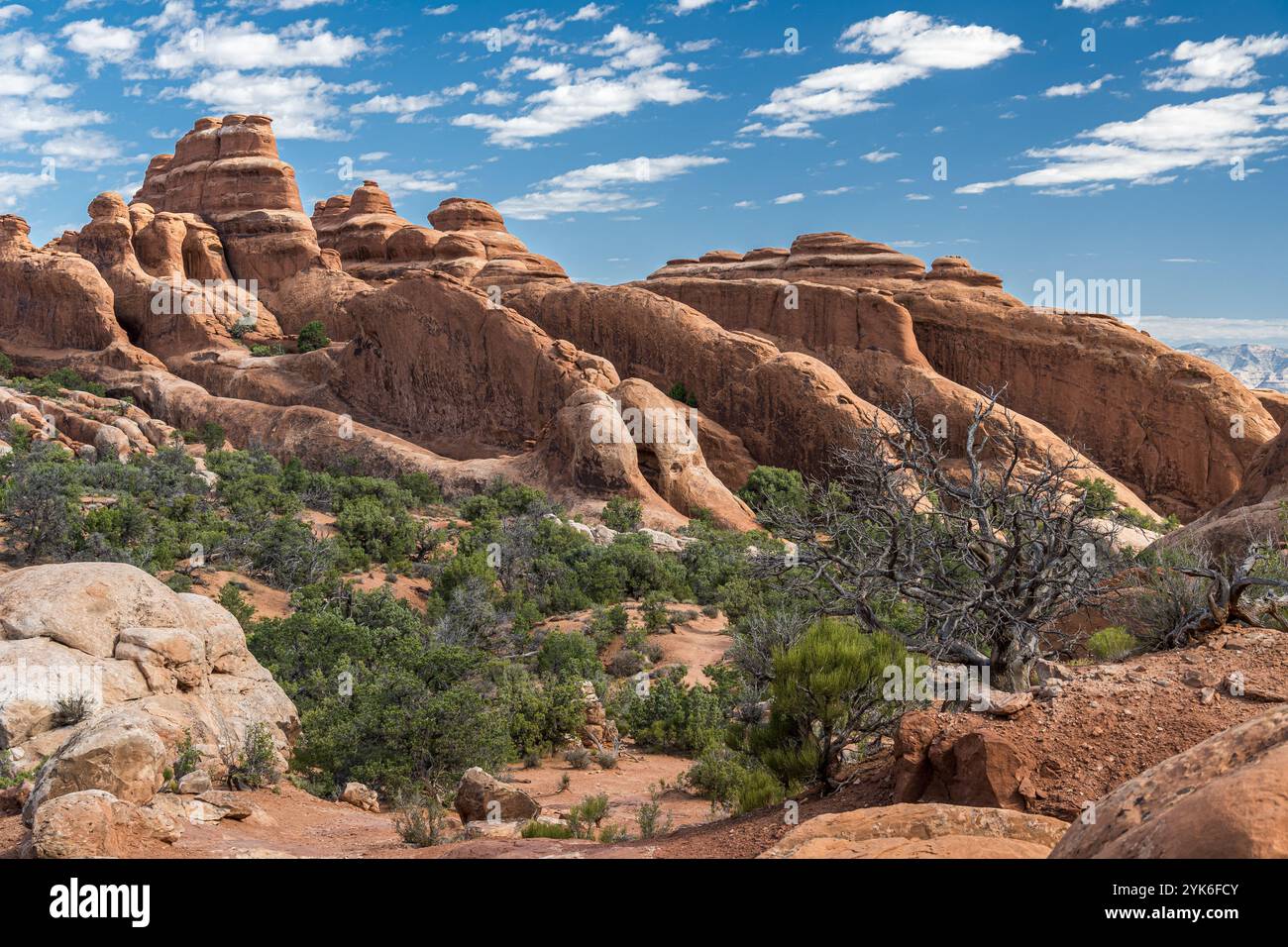 Vue panoramique sur les ailerons rocheux du sentier Devils Garden dans le parc national d'Arches dans l'Utah Banque D'Images