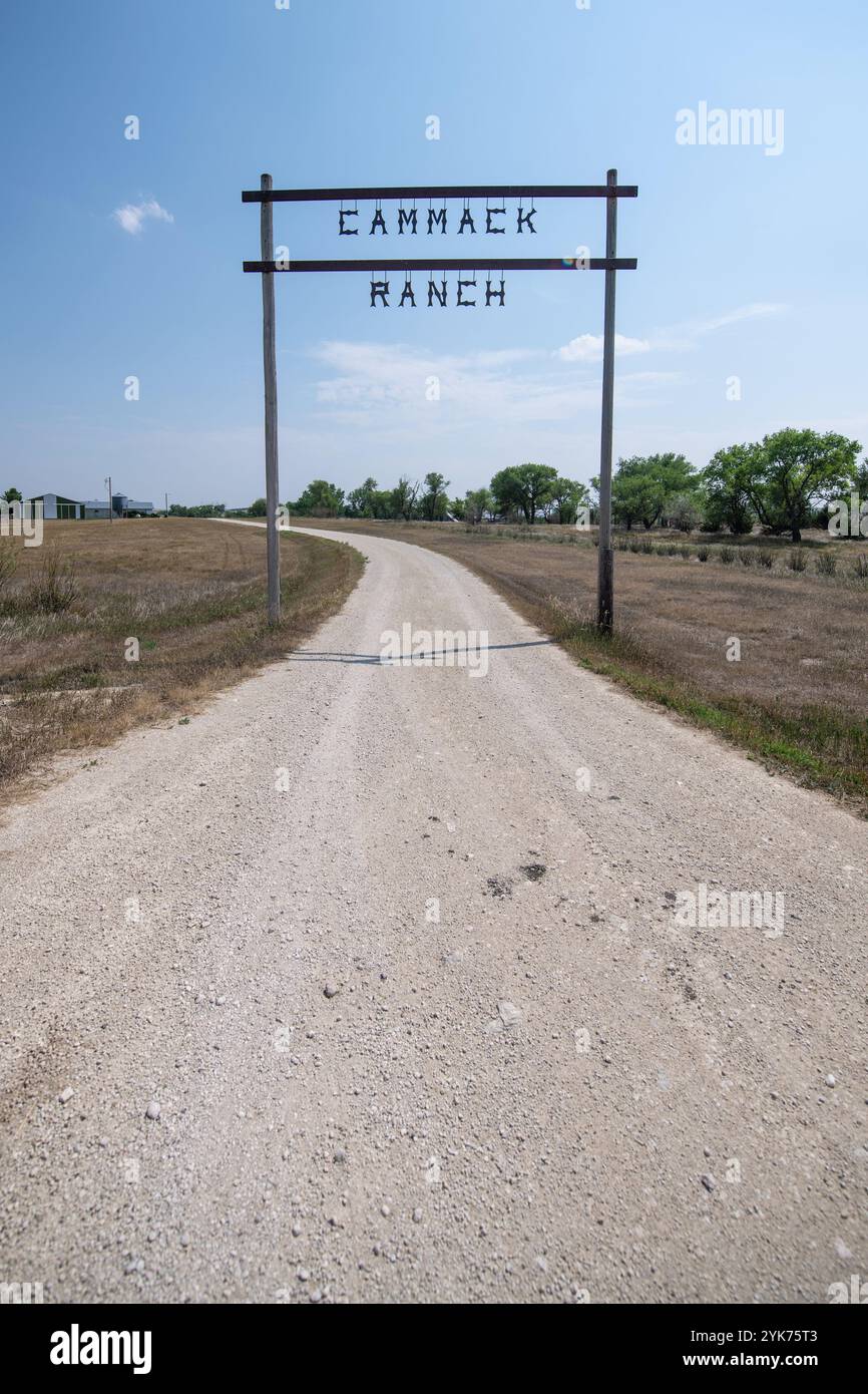 John et Melanie Cammack, propriétaires du ranch de Buffalo de Cammack, exploitent un ranch de buffle de 13 000 acres avec 600 vaches mères, à Stoneville, Dakota du Sud, le 21 juillet 2021. John Cammack est un éleveur de quatrième génération. Le principal défi de cette année est la sécheresse et la meilleure façon d'adapter les pratiques de pâturage au manque d'eau. Pendant les saisons normales, les nombreux ruisseaux du ranch coulent avec de l'eau. Comme les buffles tournent d'un champ à l'autre, ils doivent souvent traverser un ou plusieurs ruisseaux chaque jour. M. Cammack affirme que, d’abord et avant tout, l’utilisation de l’USDA présente des avantages financiers. Il est suivi par l'utilisation du NRCS Banque D'Images