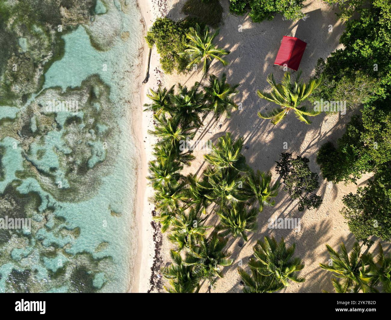 Vue aérienne d'une scène de plage tropicale regardant vers le bas sur les eaux des Caraïbes et les palmiers avec une seule maison rouge Banque D'Images