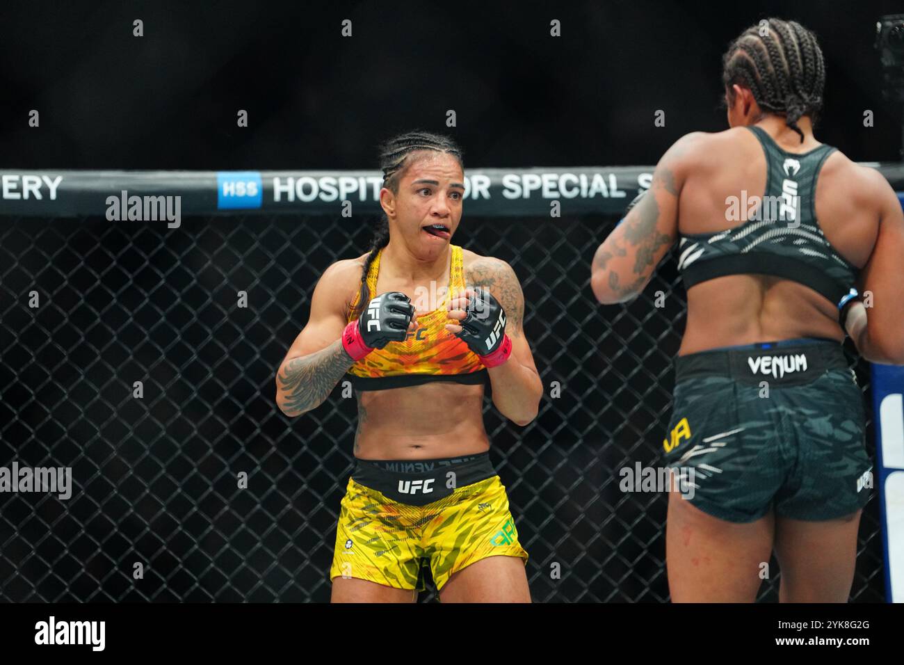 NEW YORK CITY, NY - 16 NOVEMBRE : Viviane Araujo et Karine Silva se sont rencontrées dans l'octogone pour un combat de 3 tours pour UFC309 - Jones vs Miocic au Madison Square Garden le 16 novembre 2024 à New York City, NY (photo de Louis Grasse/PxImages) crédit : px images/Alamy Live News Banque D'Images