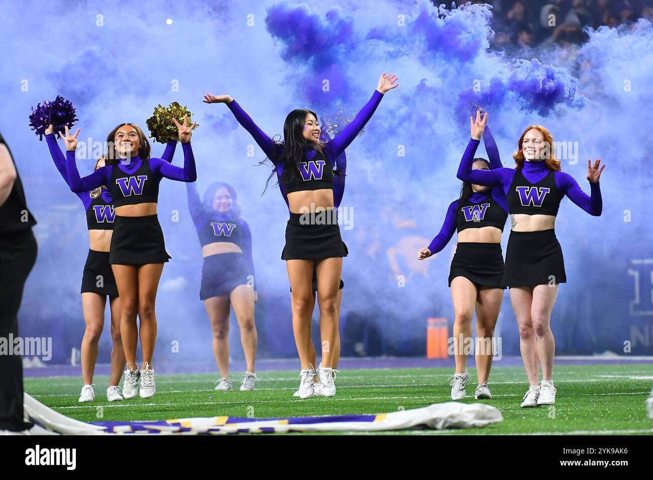 Seattle, Washington, États-Unis. 15 novembre 2024. Les pom-pom-pom Husky prêtes à diriger l'équipe sur le terrain avant le match de football de la NCAA entre les Bruins de l'UCLA et les Huskies de Washington à Seattle, dans l'État de Washington. Washington a battu UCLA 31-19. Steve Faber/CSM (image crédit : © Steve Faber/Cal Sport Media). Crédit : csm/Alamy Live News Banque D'Images