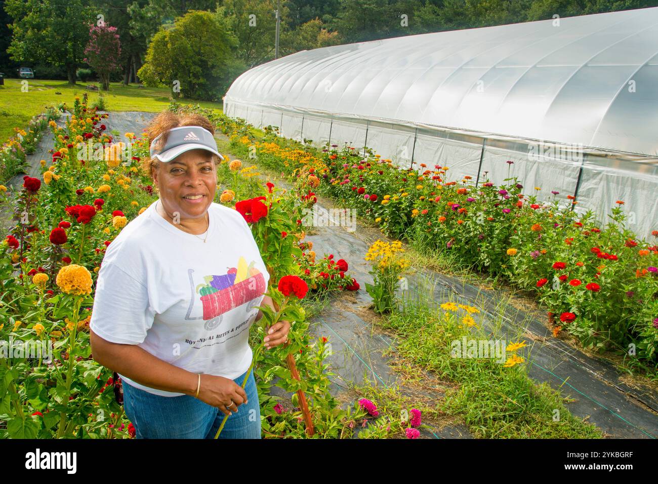 Thomas et Anita Roberson (tous deux vétérinaires de l'armée américaine) organisent le Roberson Farm Tour à Fredericksburg, en Virginie. Les Roberson exploitent une ferme de 10 acres où ils produisent des légumes, des fruits, du miel et des fleurs. Photo USDA de Preston Keres Banque D'Images