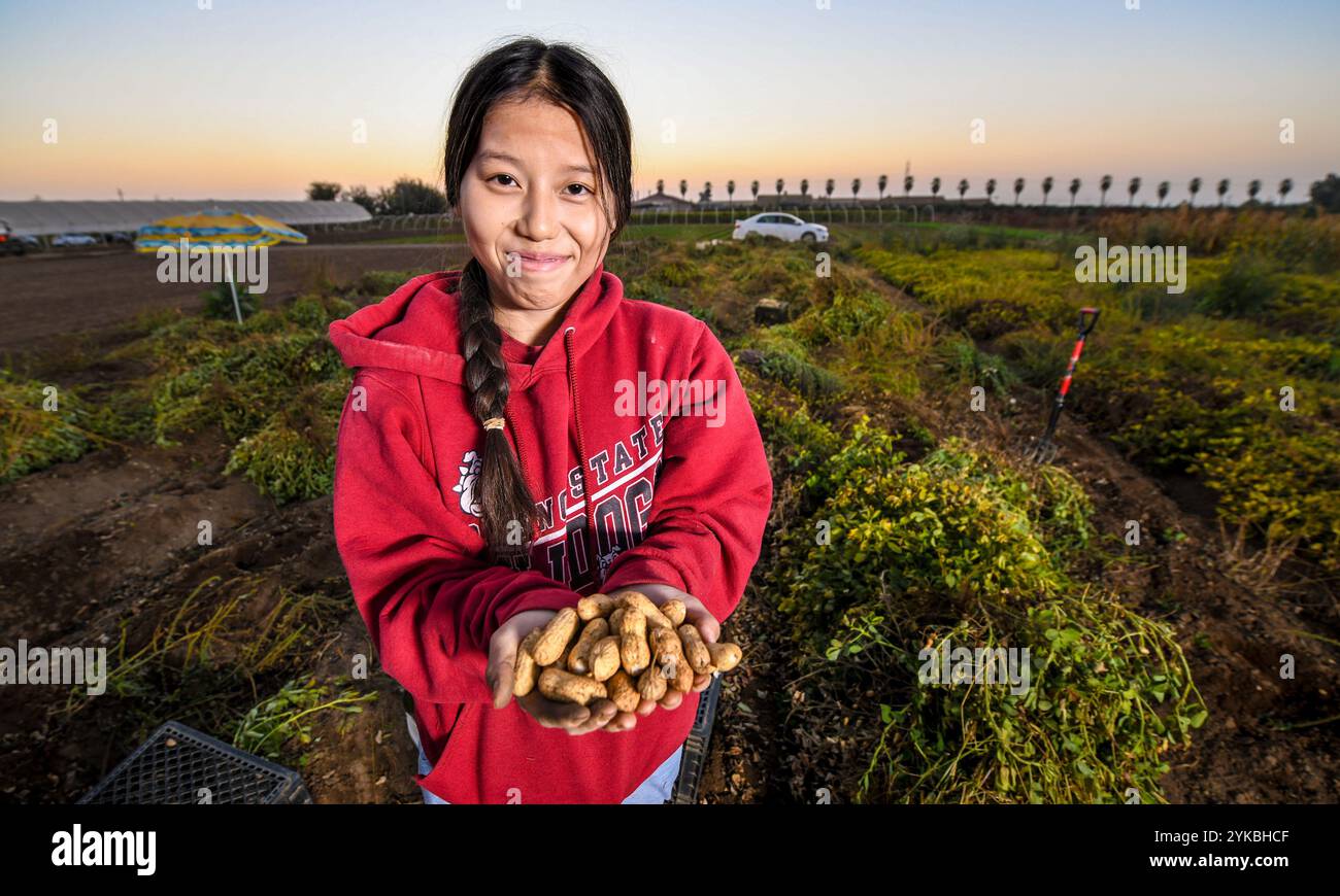 Vue Her, propriétaire de VH Produce, est un agriculteur hmong sur un champ de 10 acres, qui cultive plusieurs cultures asiatiques spécialisées à Singer, EN CALIFORNIE, près de Fresno, le 9 novembre 2018. Il a travaillé avec le Service de conservation des ressources naturelles (NRCS) du Département de l'Agriculture des États-Unis (USDA) pour mettre en œuvre de nombreuses améliorations de conservation, y compris l'aide au remplacement d'un vieux tracteur par un tracteur plus efficace à faibles émissions et l'installation de tunnels saisonniers élevés. La production agricole et conservation (APFC) est le point focal du Ministère pour les agriculteurs et les éleveurs du pays et les autres gérants des terres agricoles privées et non-in Banque D'Images